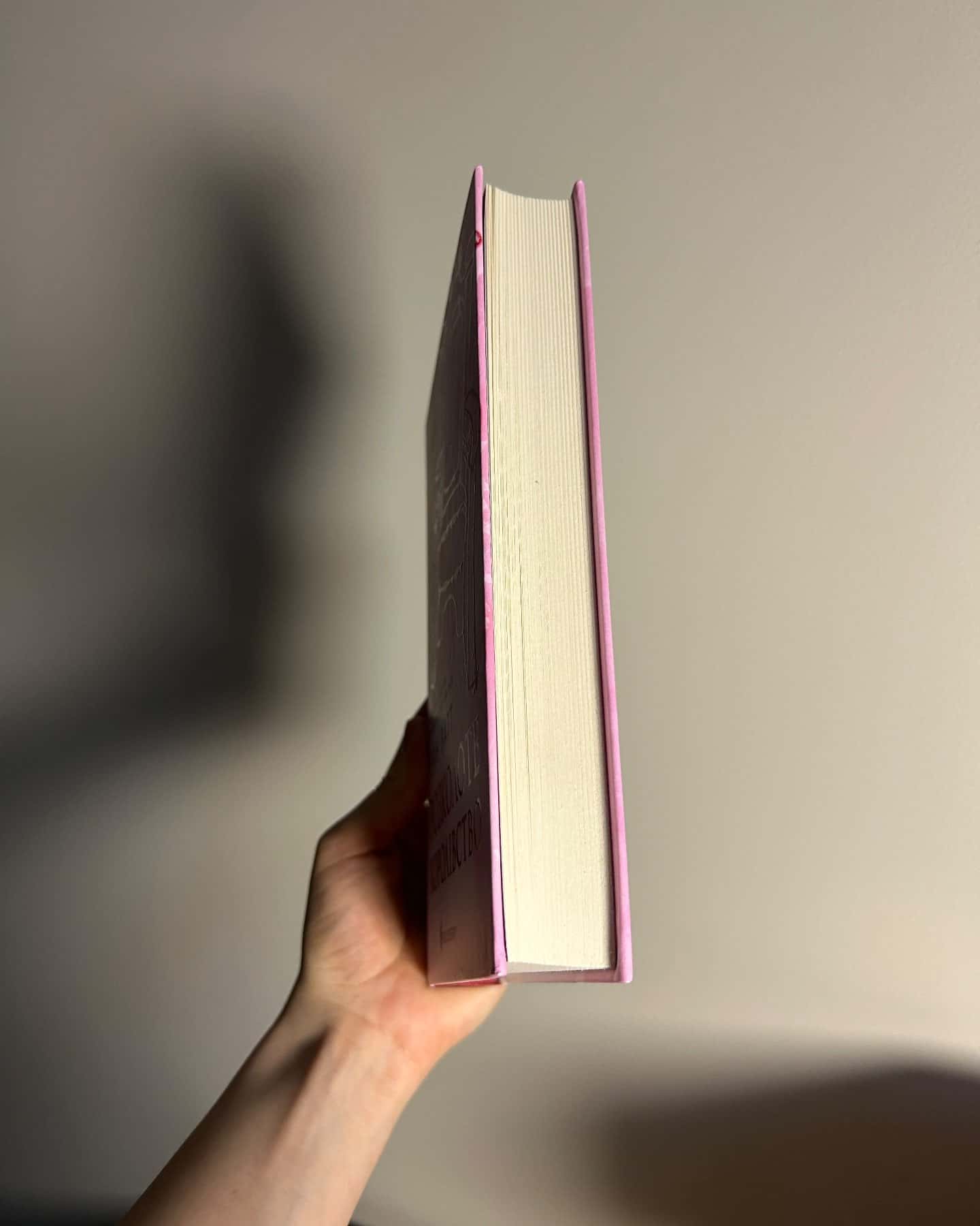 Розколоте королівство.Родина Роялів. Книга 5 — Ерін Ватт