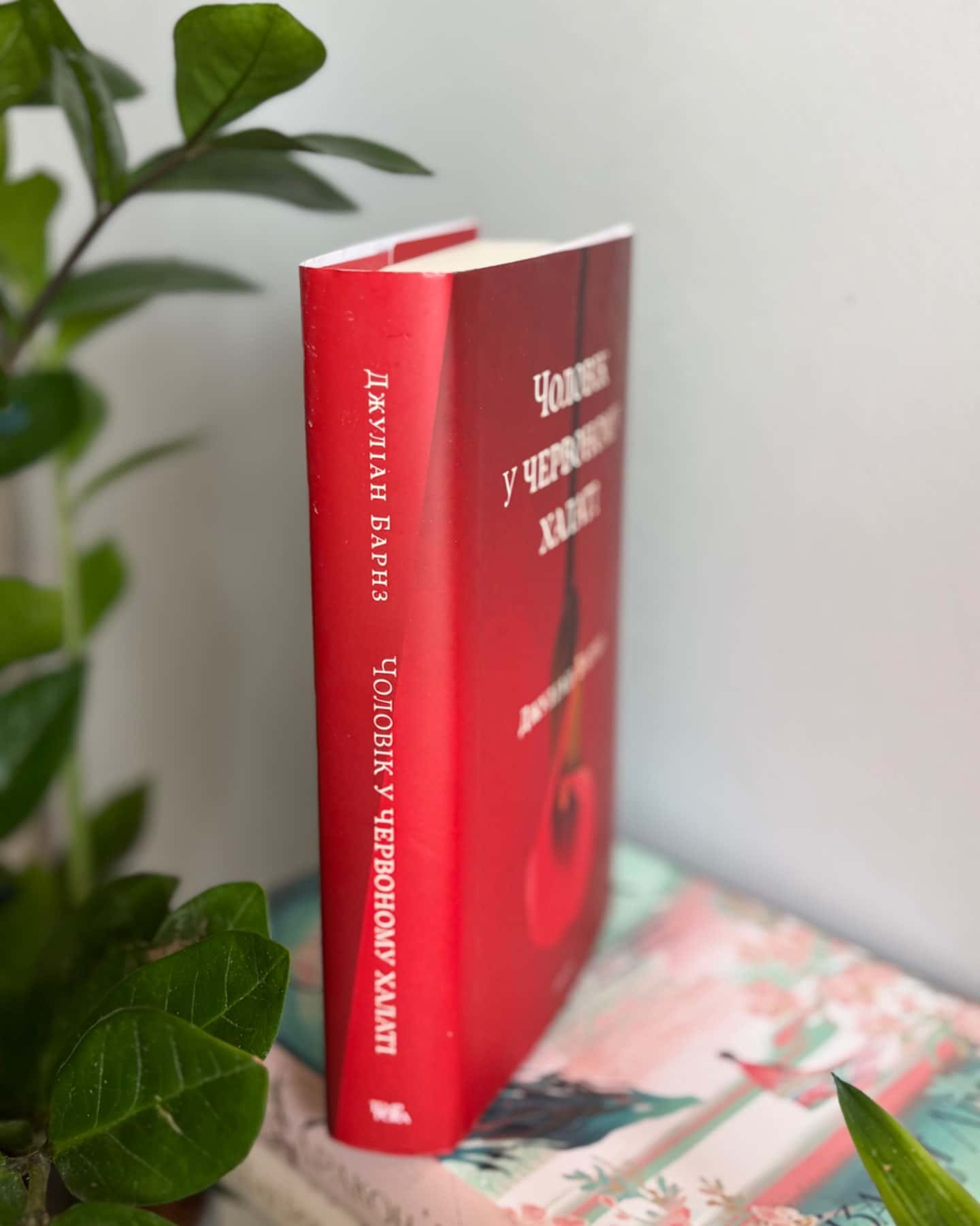 Чоловік у червоному халаті-Джуліан Барнз