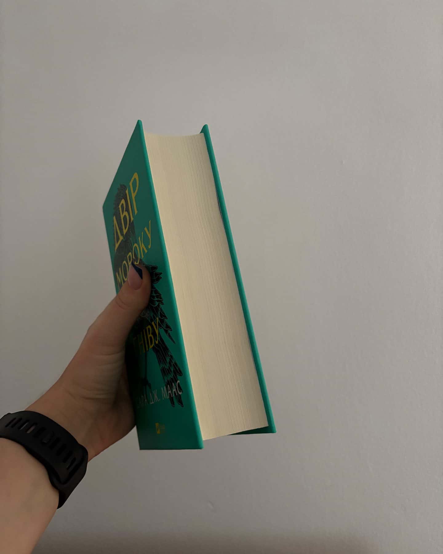 Двір мороку і гніву. Книга 2 — Сара Дж. Маас