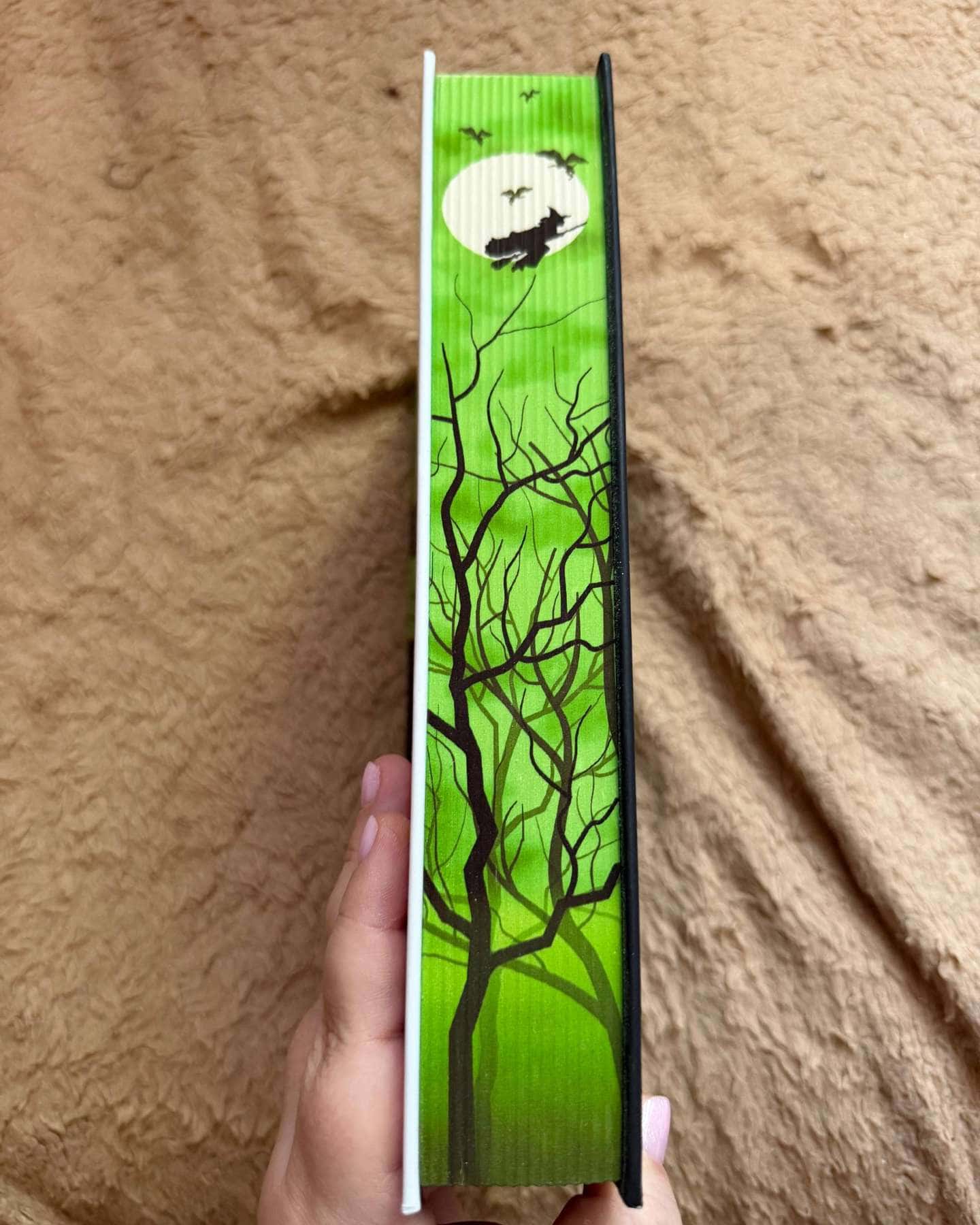 Wicked. Життя та часи Злої Відьми Заходу — Грегорі Магвайр