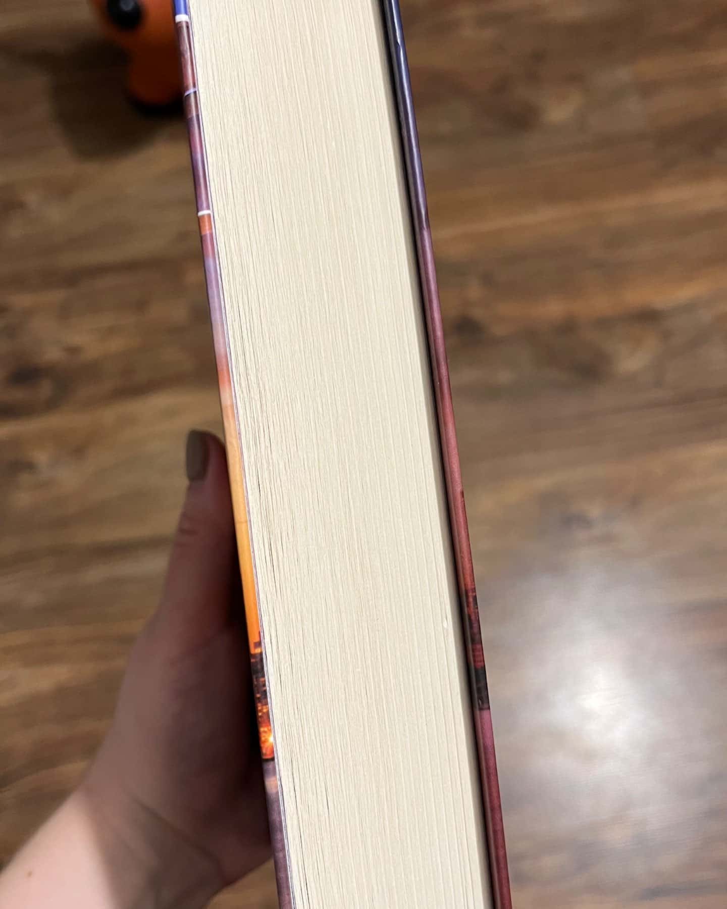 Вище неба. Місто вітрів. Книга 1-Ліз Томфорд