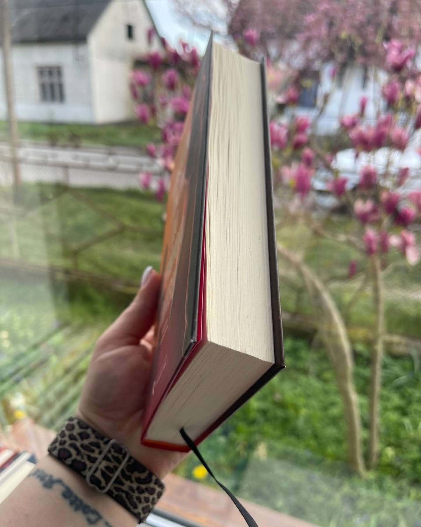 Любовні листи до серійного вбивці-Таша Корьелл