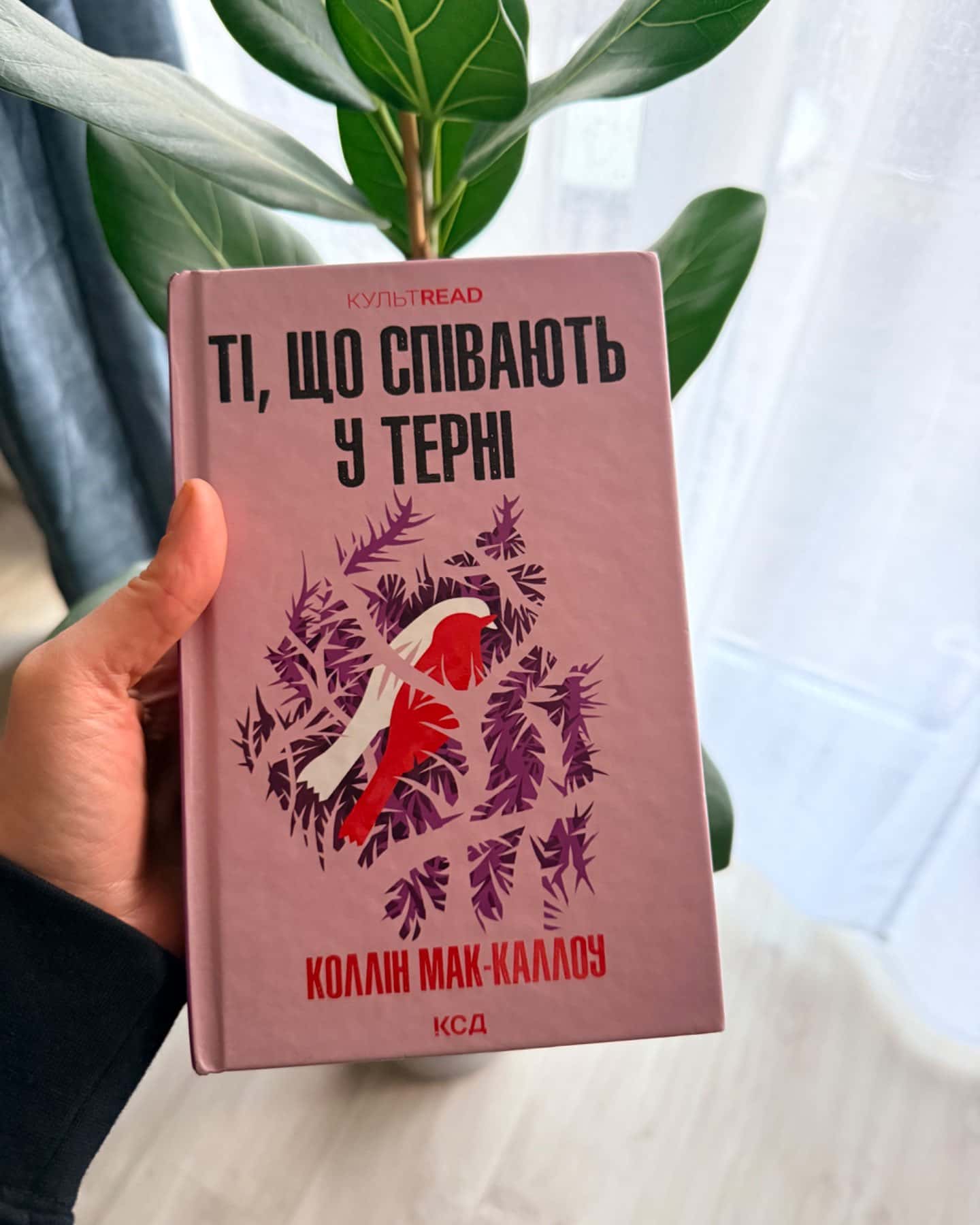 Т, що співаю у терні-Коллін Мак-Каллоу