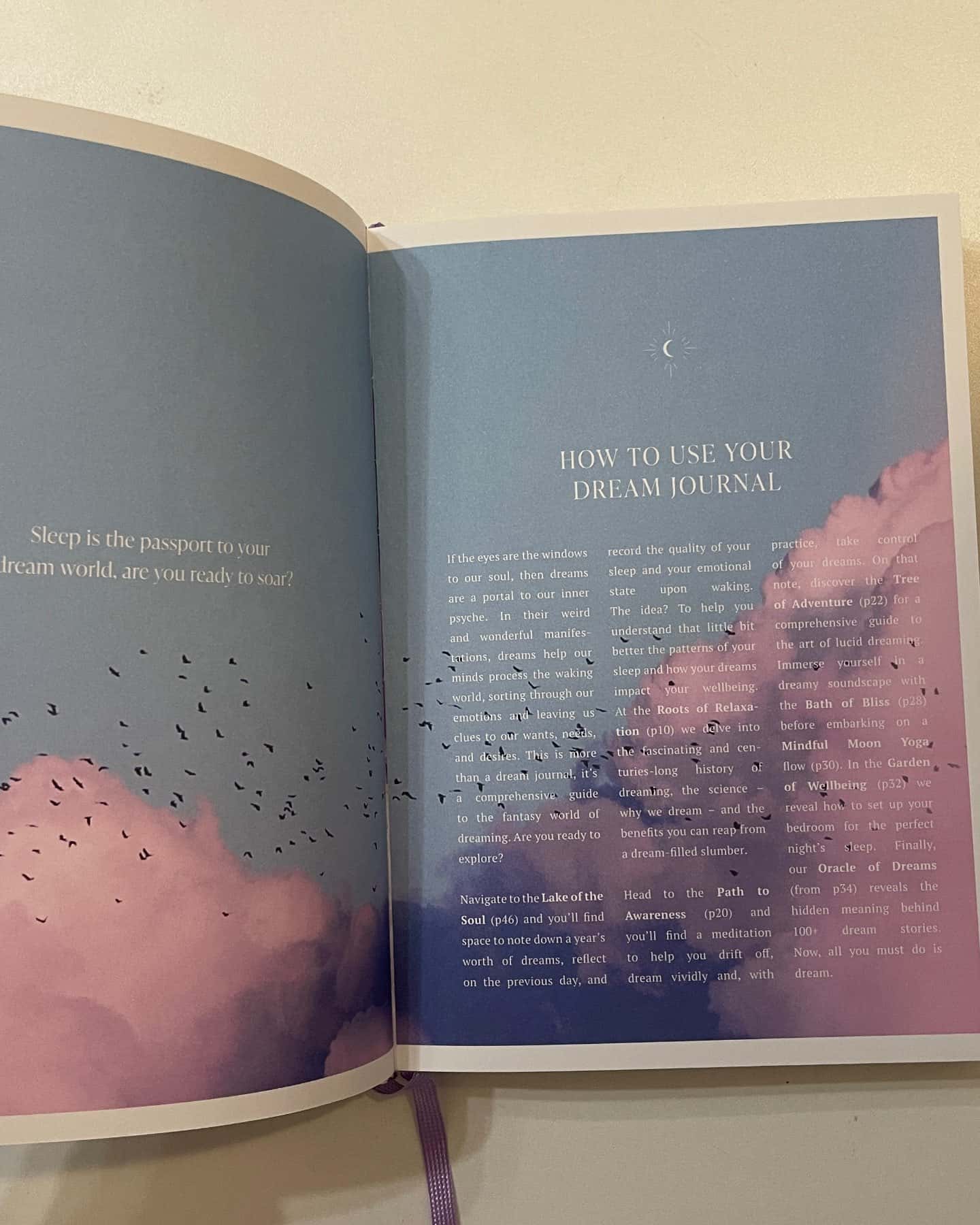 The art of dreaming journal-Rituals