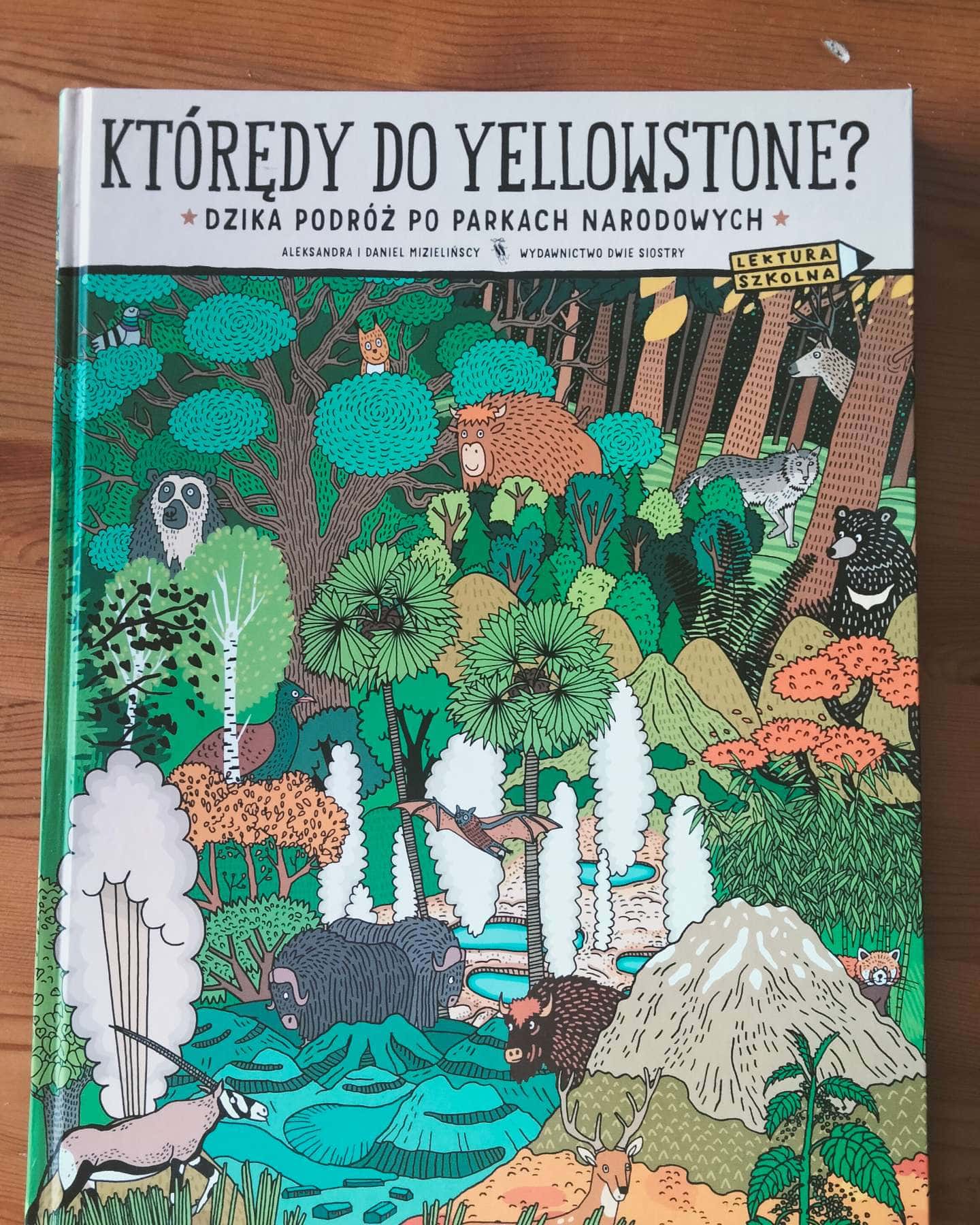 Którędy do Yellowstone? Dzika podróż po parkach narodowych-Aleksandra I Daniel Mizielińscy
