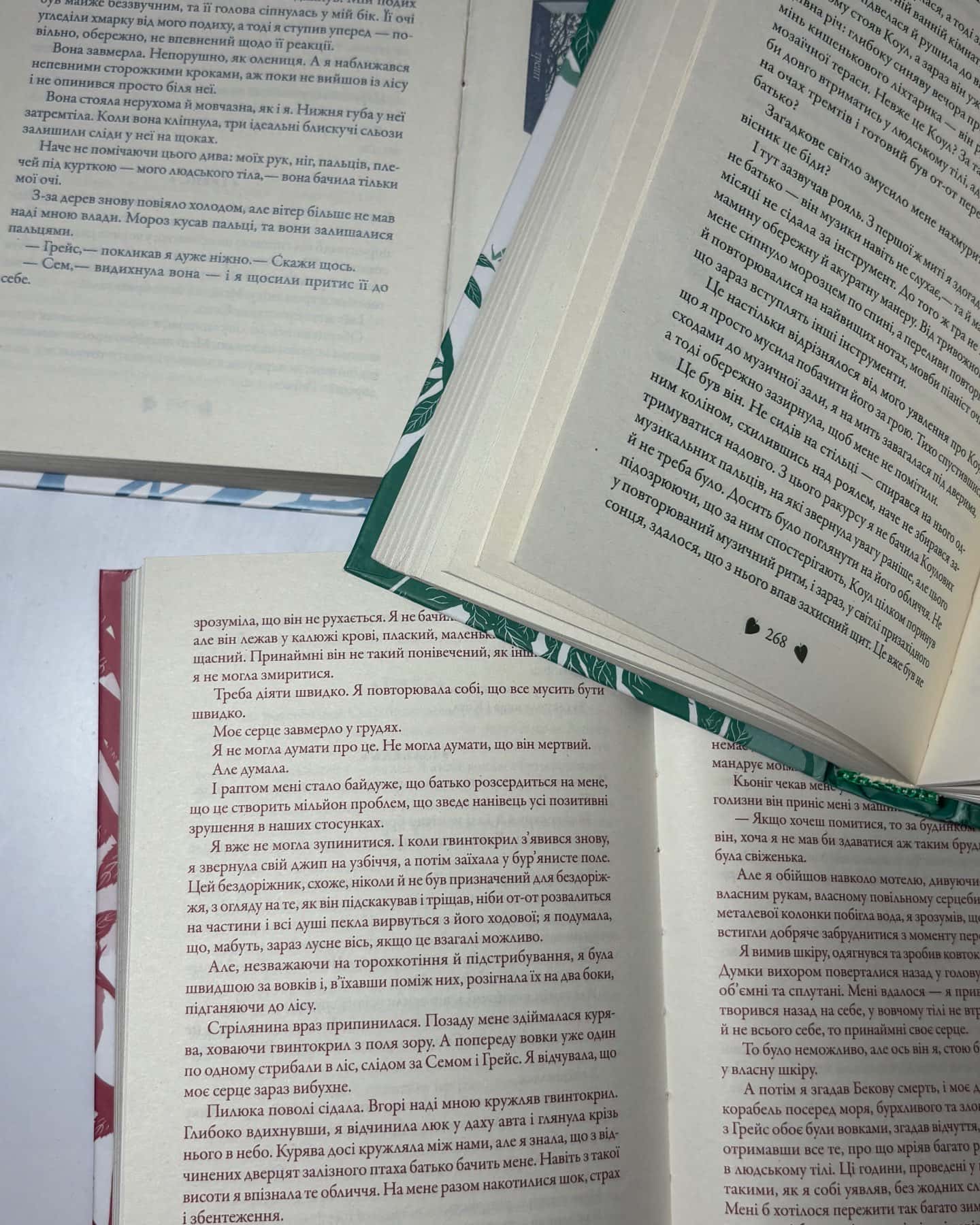 Трепіт, Перевтілення, Вічність — Меггі Стівотер