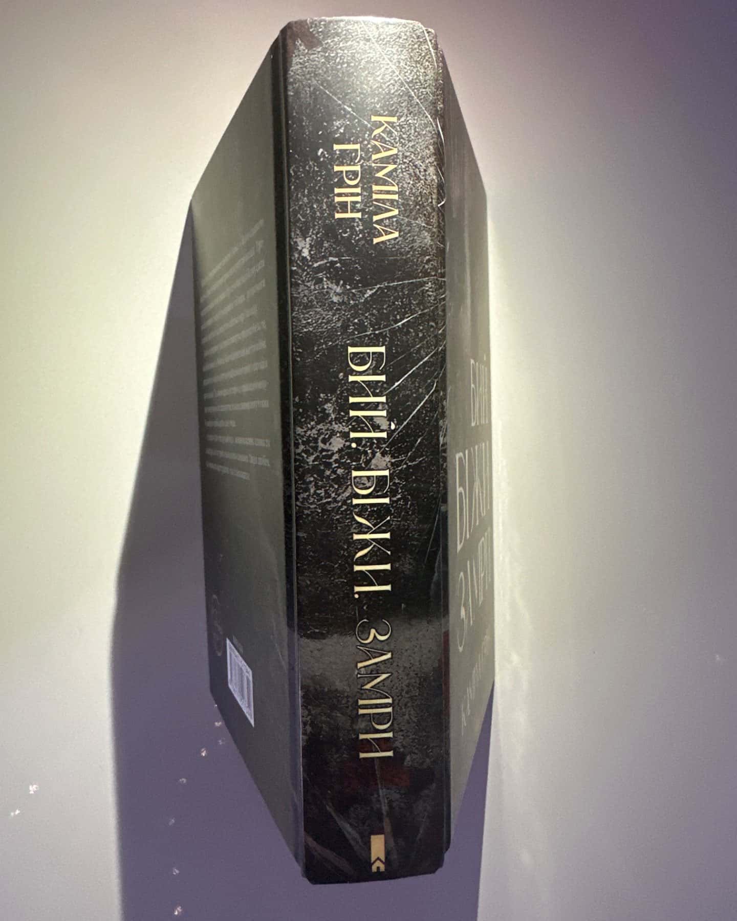 Бий. Біжи. Замри-Каміла Грін