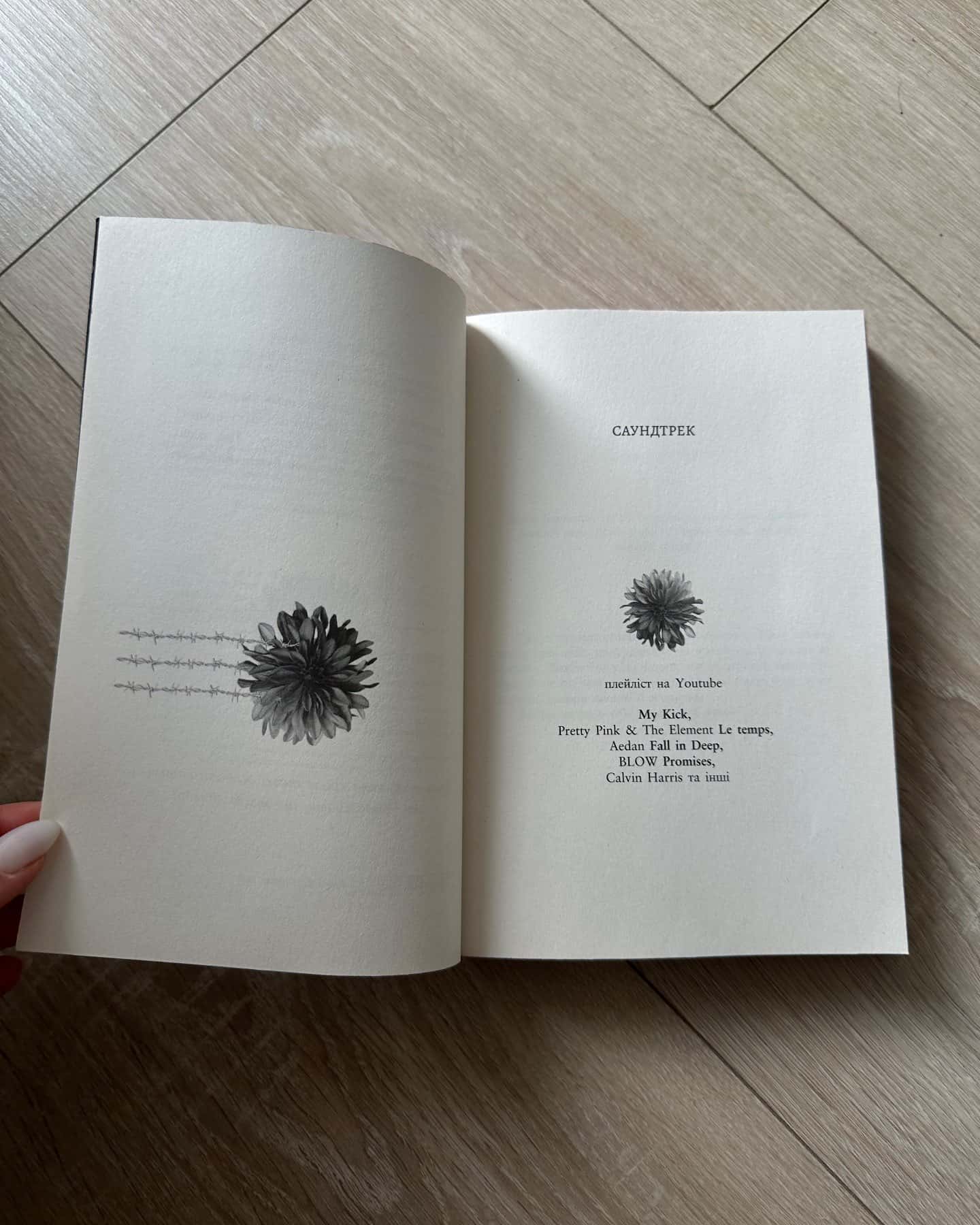 Упіймати красунечку. Ти належиш мені.  Книга 1 — Дж. С. Вонда