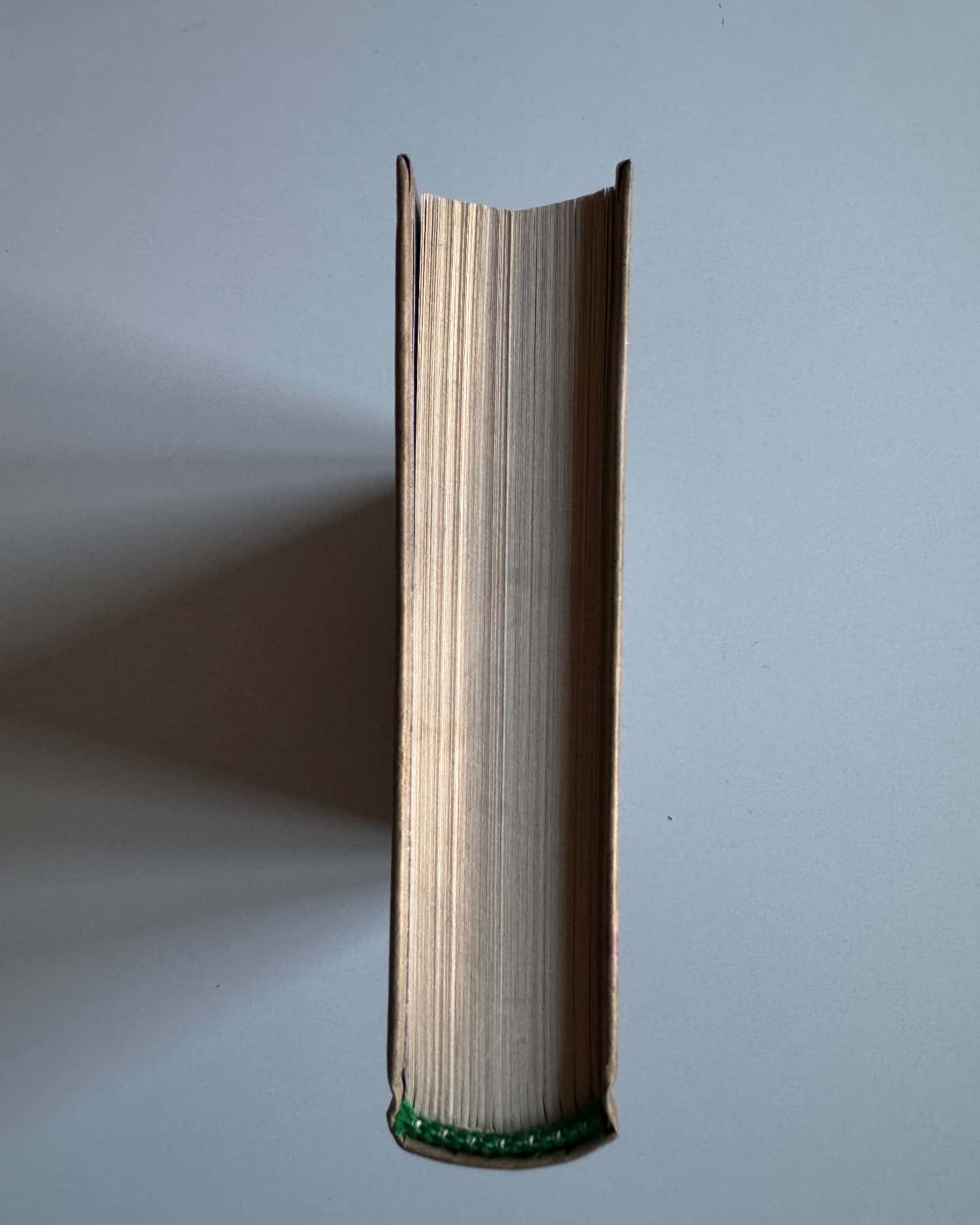 Дім для Дома-Вікторія Амеліна