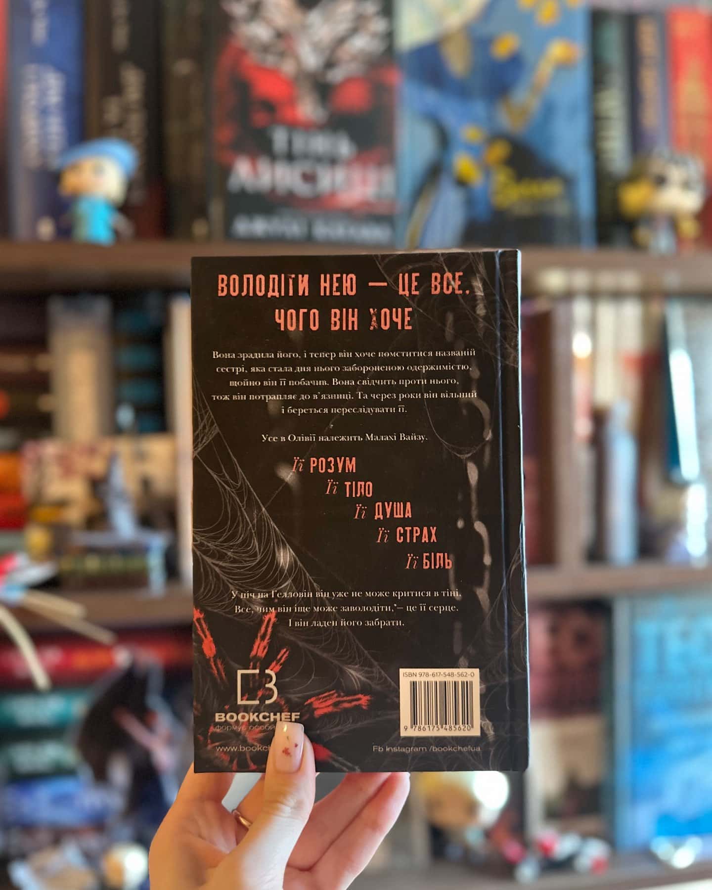 Маленька незнайомка. Павутина мовчання. Книга 1 — Лі Ріверс