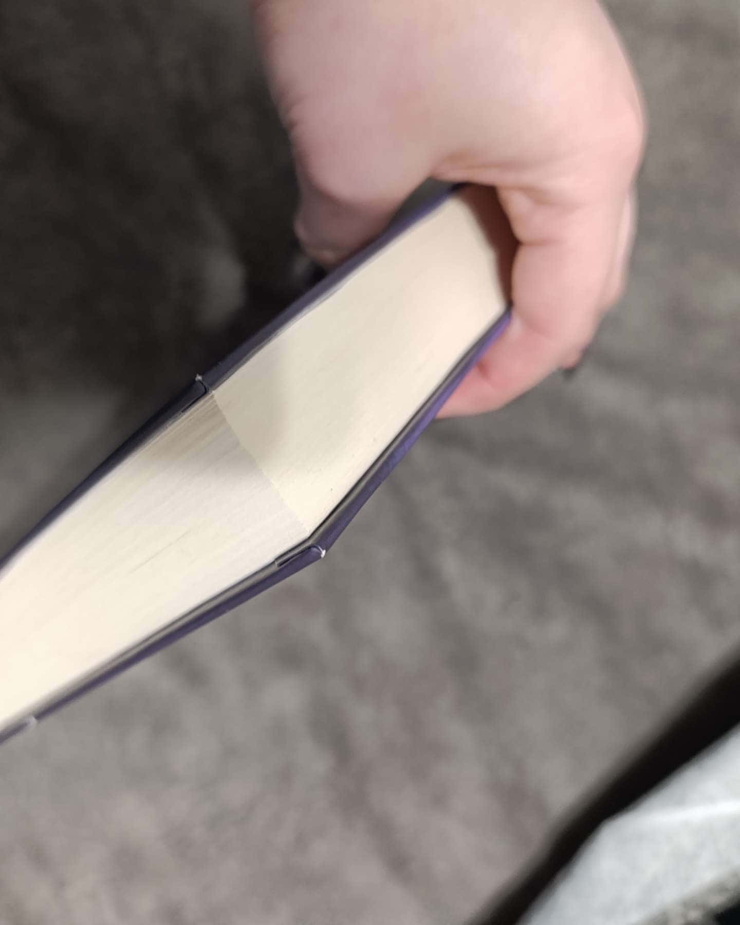 Помічниця лиходія-Ханна Ніколь Мерер