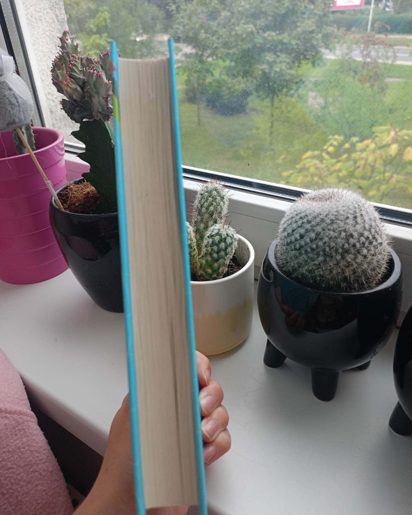 Випадкові наречені-Крістіна Лорен