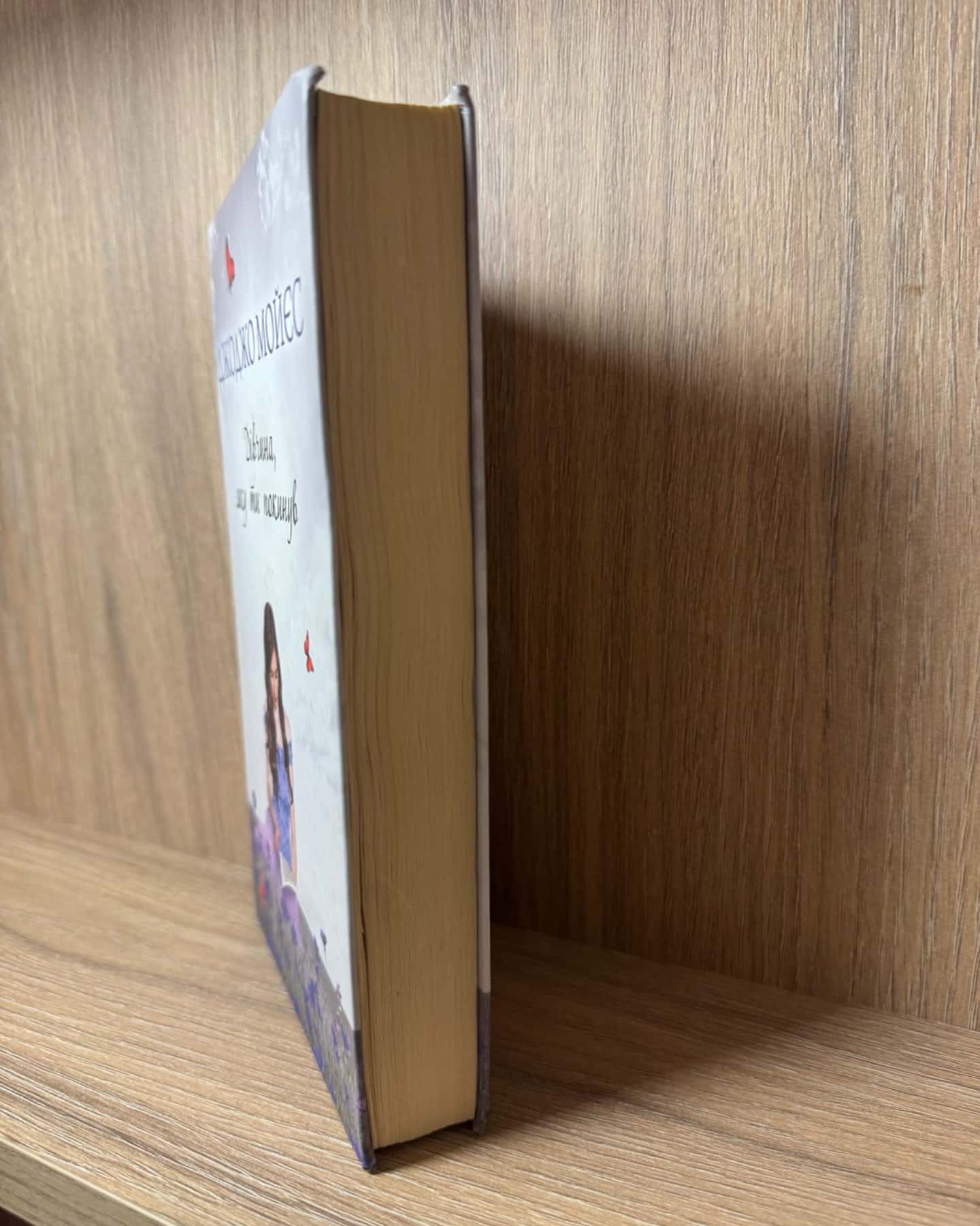 Дівчина, яку ти покинув-Джоджо Мойєс