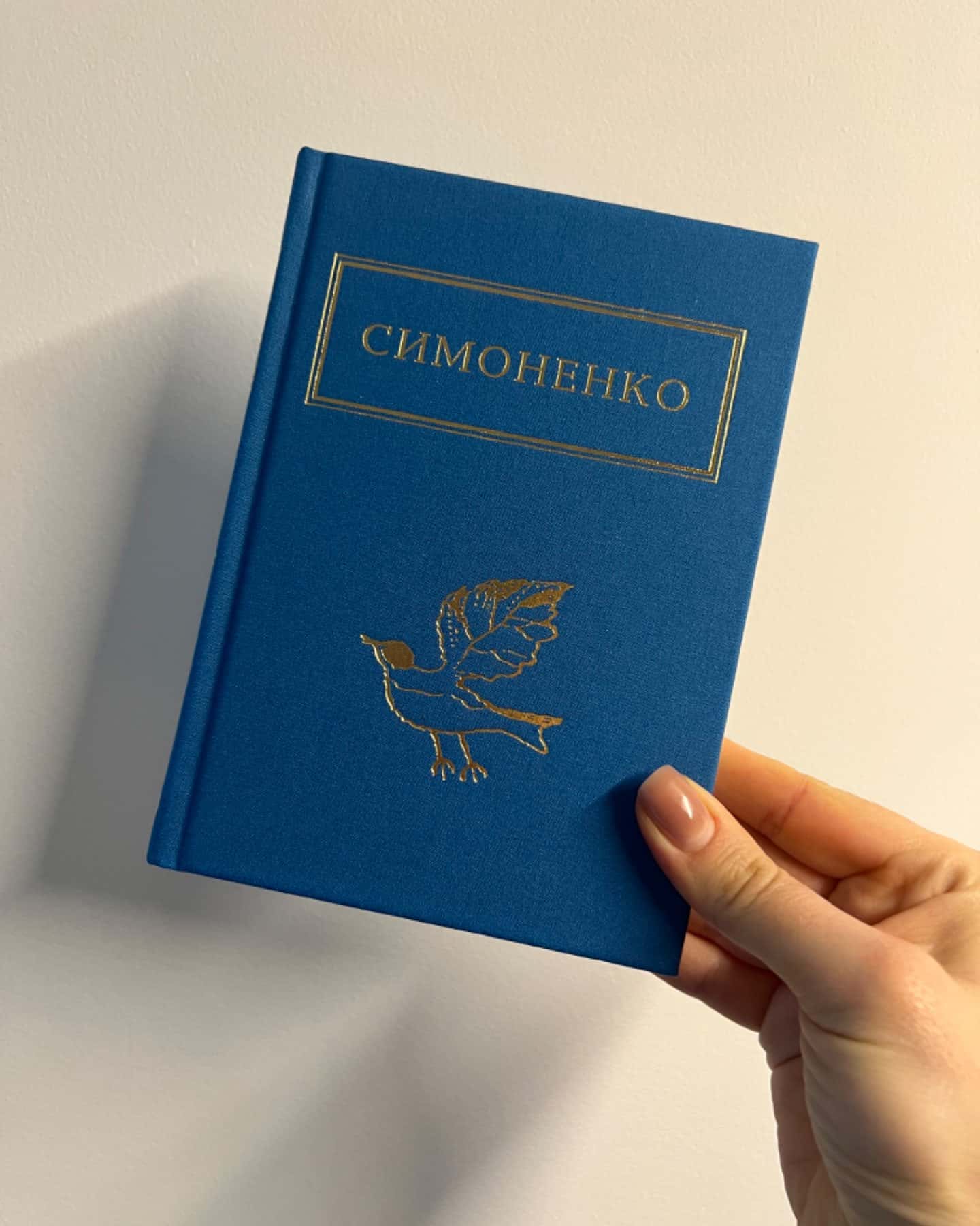 Задивляюсь у твої зіниці-Василь Симоненко