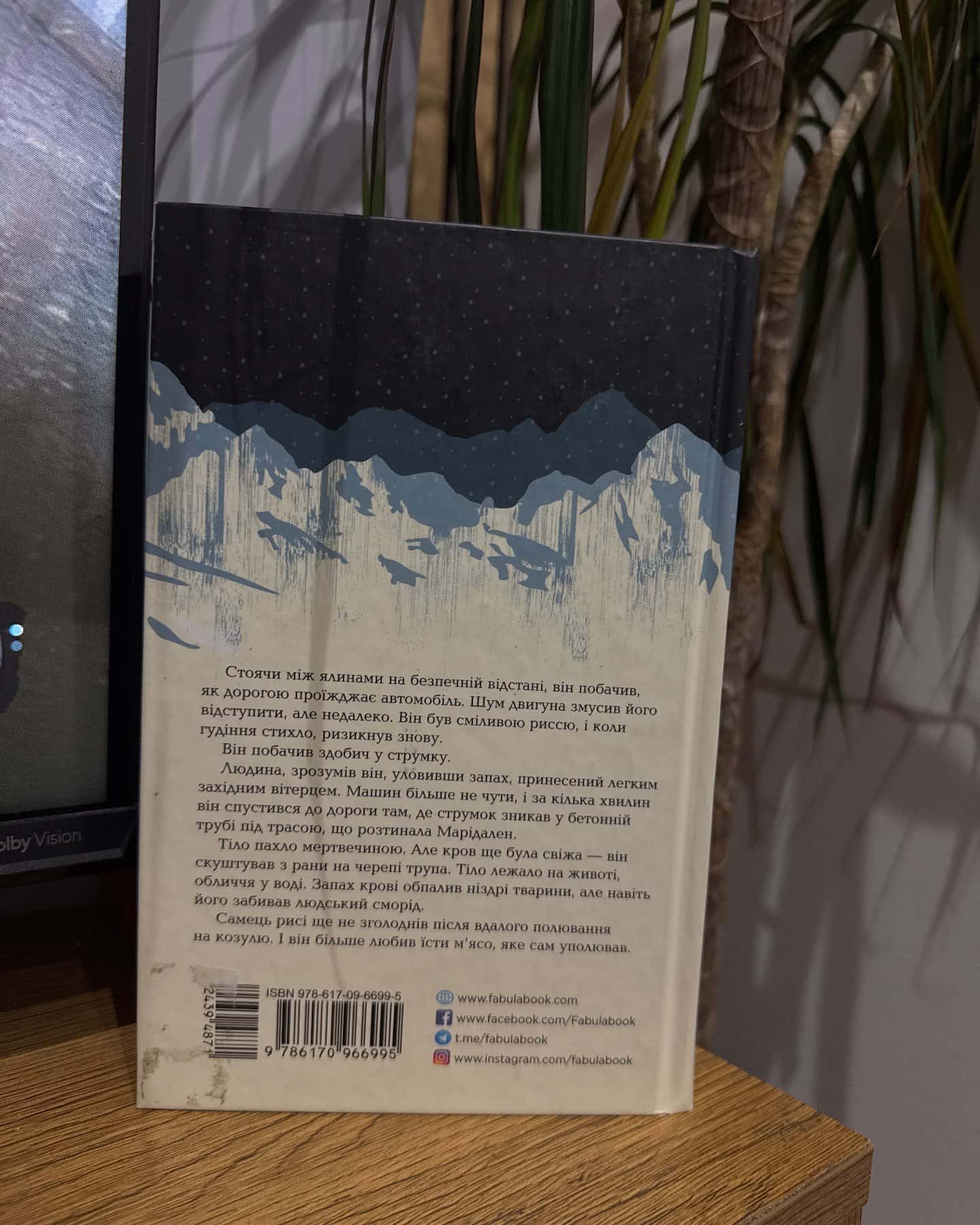 Могила на двох — Анне Гольт