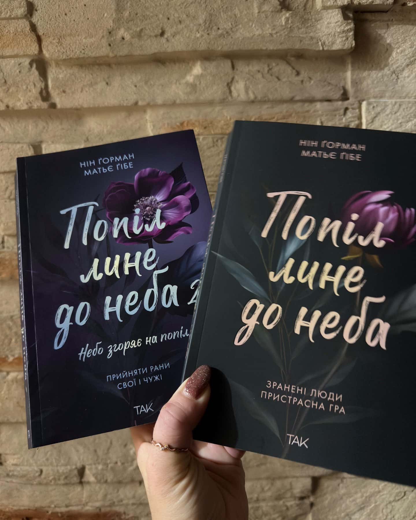 Попіл лине до неба. Том 1, Попіл лине до неба. Том 2-Матьє Ґібе, Нін Ґорман