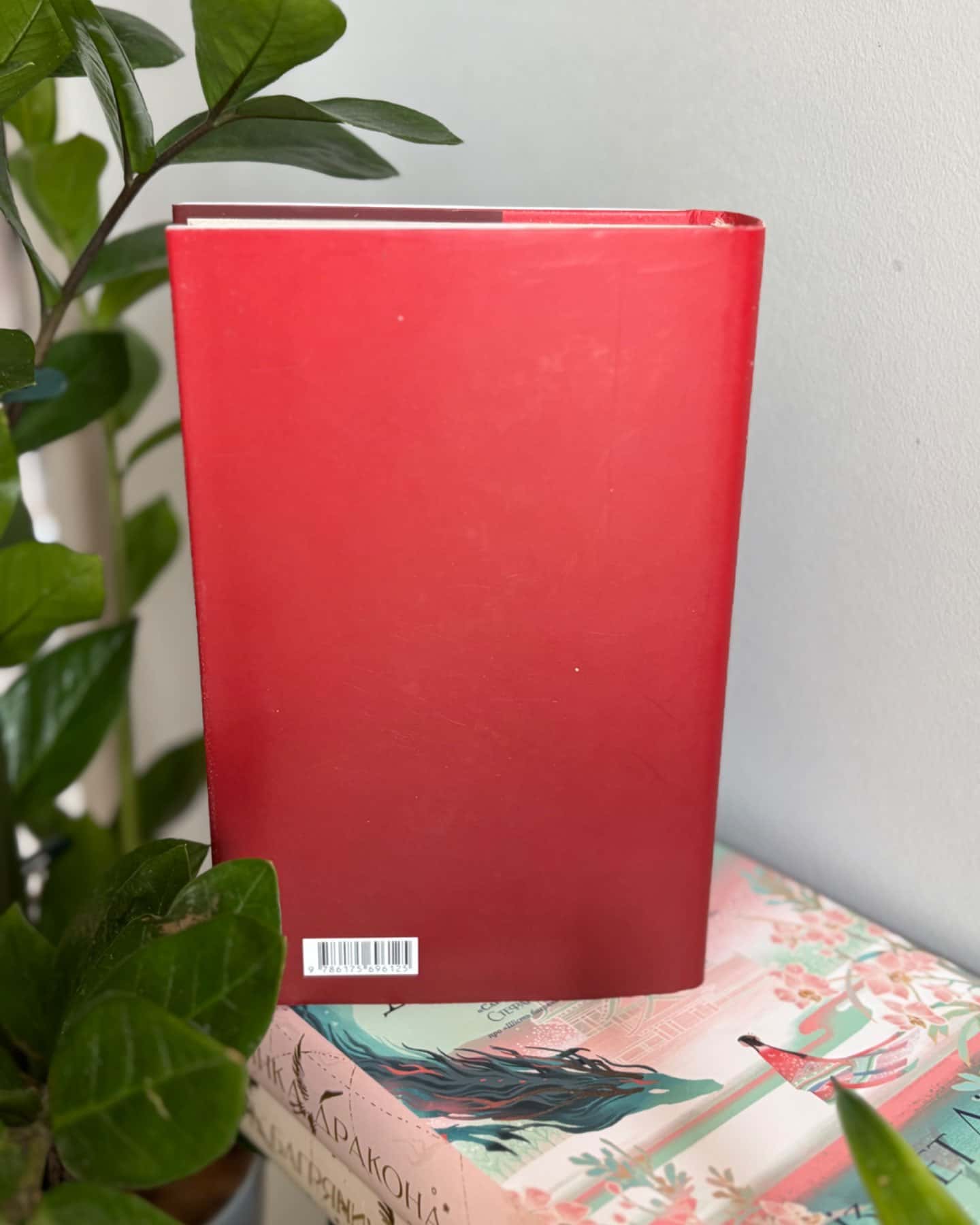 Чоловік у червоному халаті-Джуліан Барнз