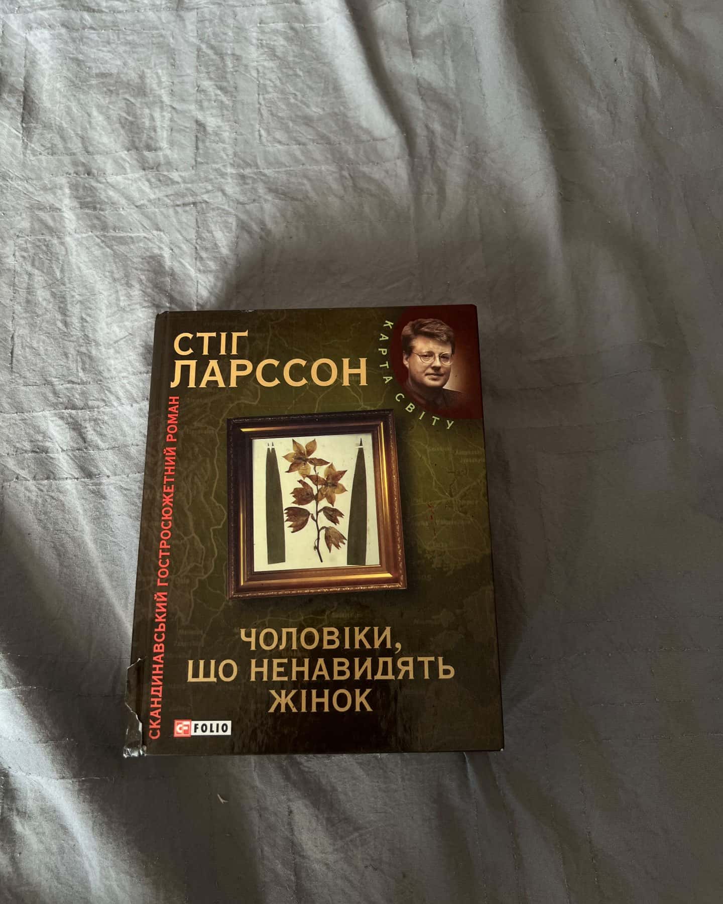 Чоловіки, які ненавидять жінок-Стіг Ларссон