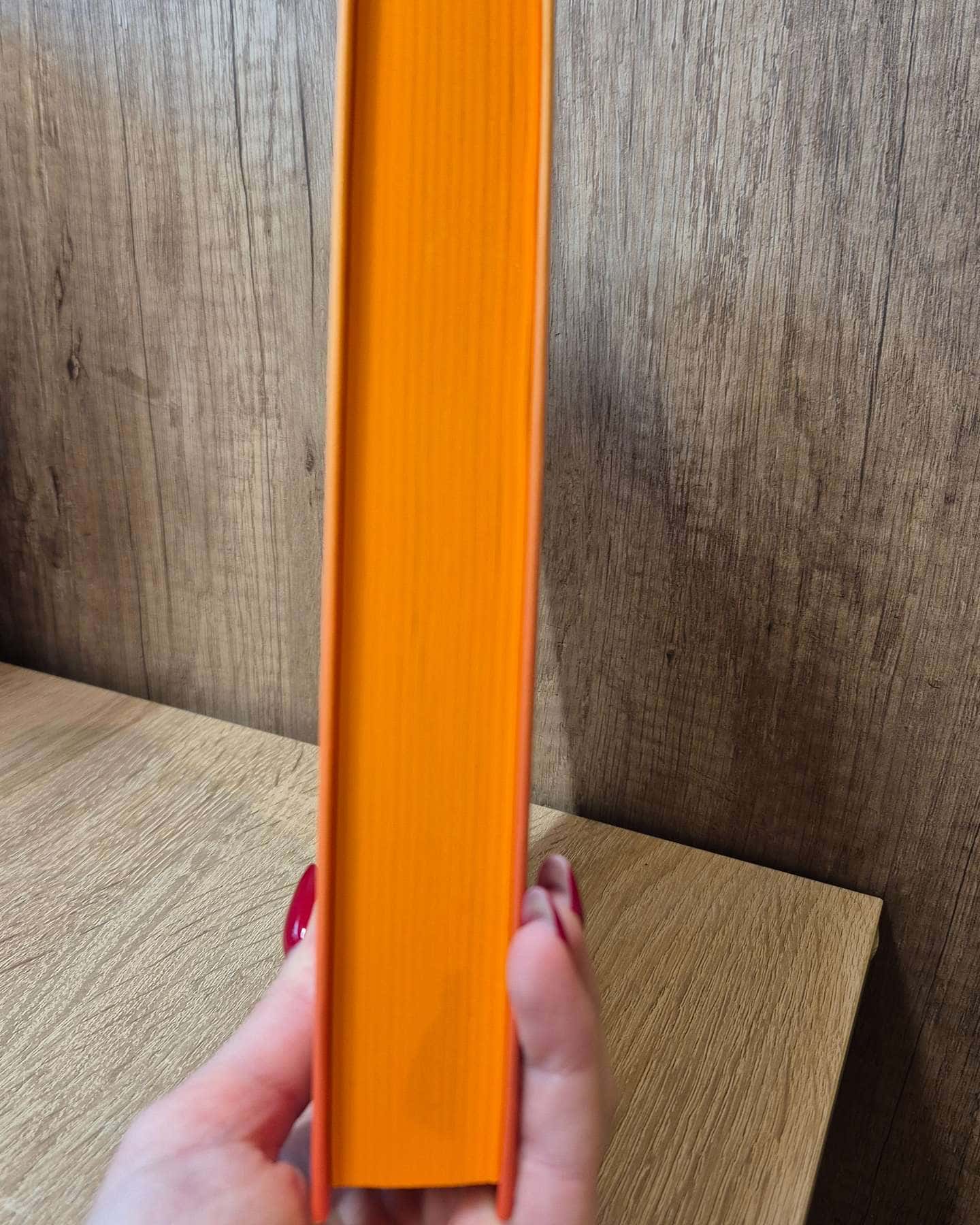 Єдина вціліла-Райлі Сейгер