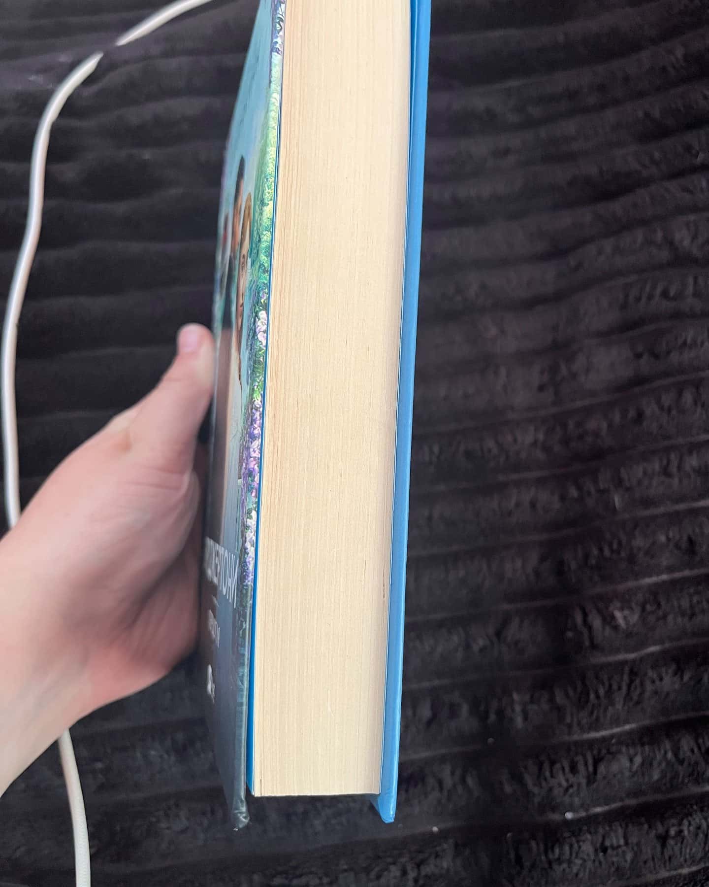 Бріджертони. Книга 1. Герцог і я — Джулія Куїнн