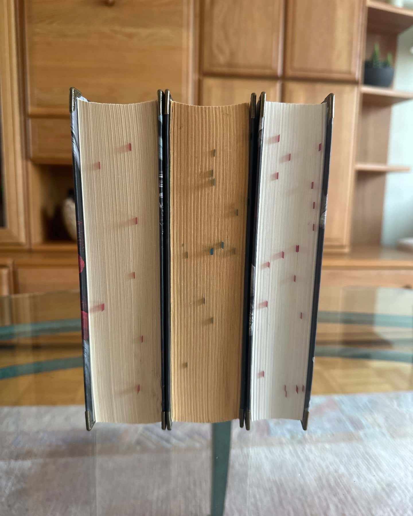 Тінь у жариві. Плоть і вогонь. Книга 1, Світло у пломені. Плоть і вогонь. Книга 2, Плоть і вогонь. Книга 3. Вогонь у плоті — Дженніфер Л. Арментраут
