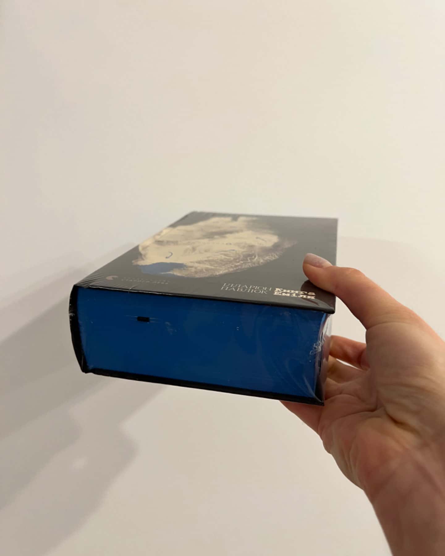 Книга Еміля-Ілларіон Павлюк