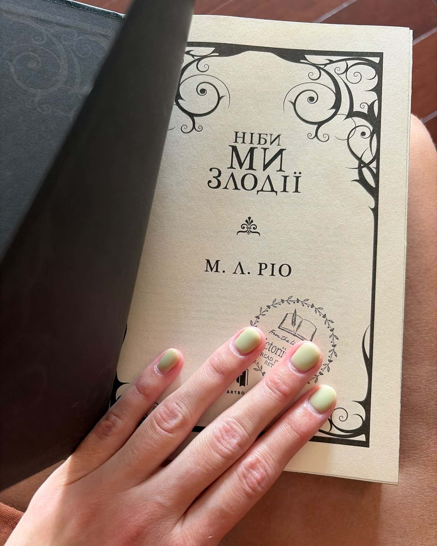 Ніби ми злодії — М. Л. Ріо
