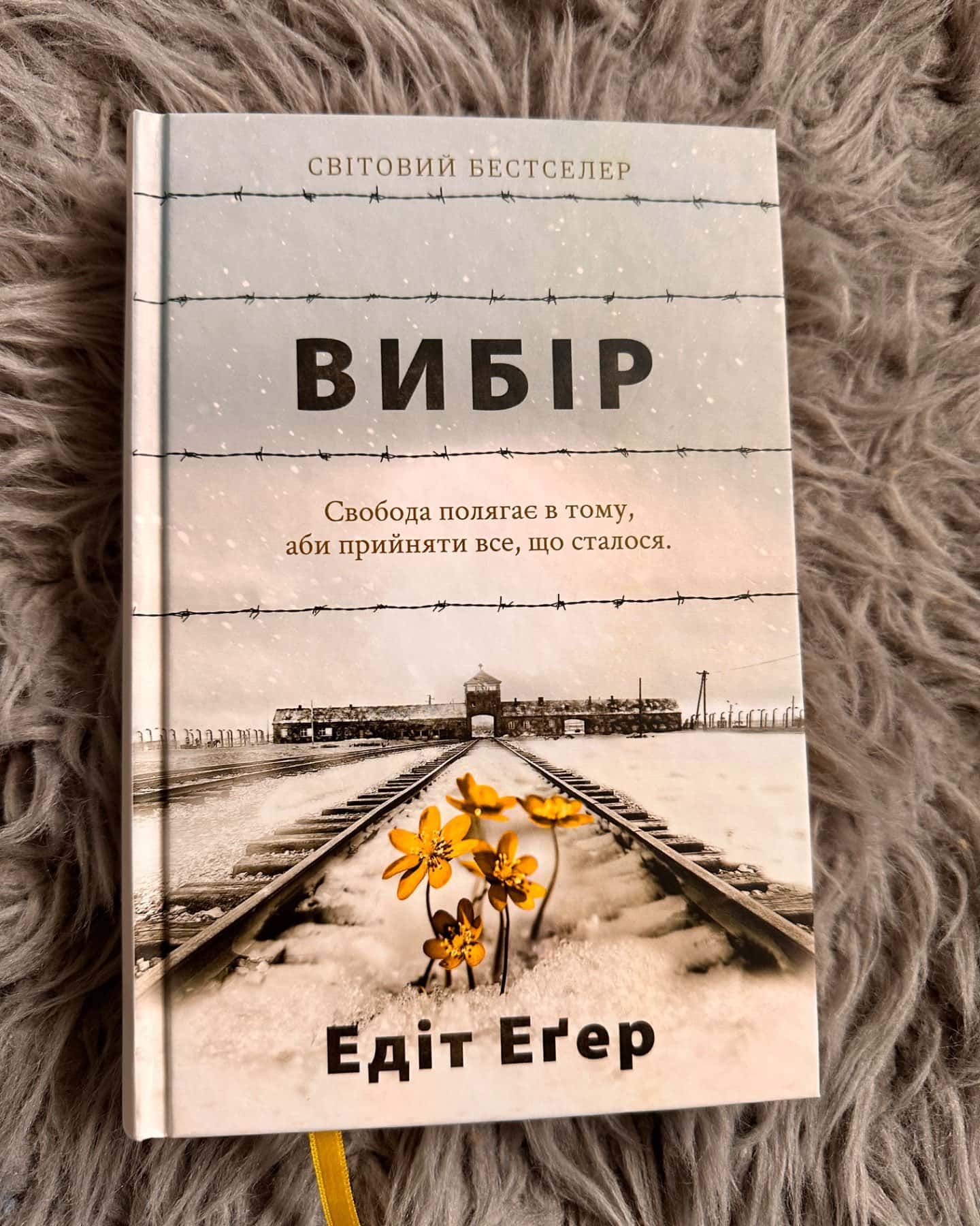 Вибір. Прийняти можливе-Едіт Єва Еґер