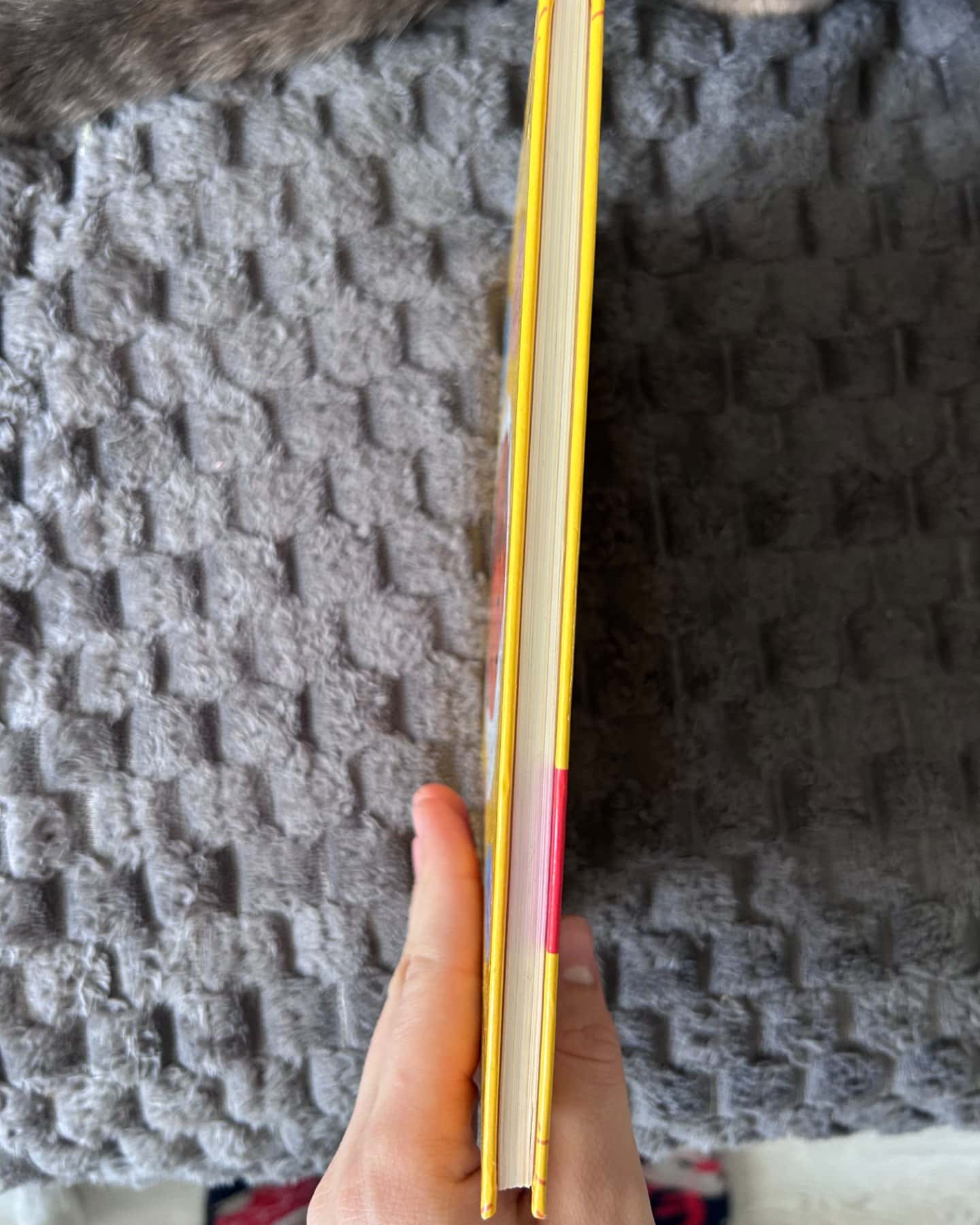 Батьки 24/7. Як зберегти здоровий глузд-Марія Малихіна