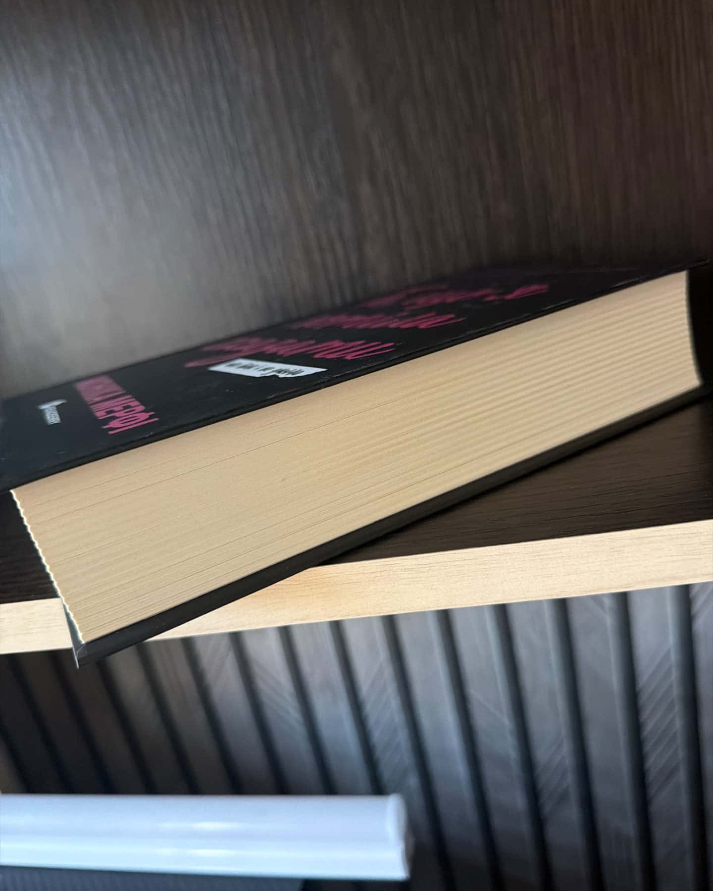 Те, що я хотіла сказати, але так і не змогла-Моніка Мерфі