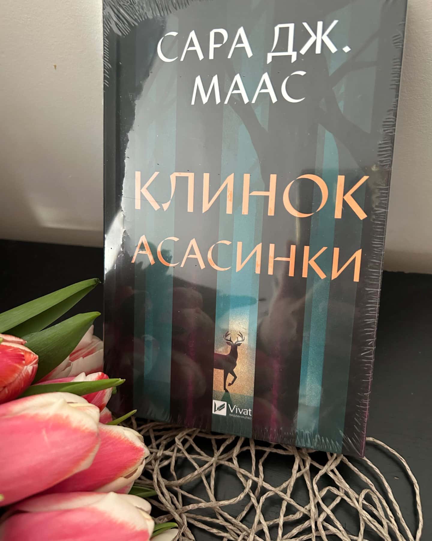 Клинок асасинки-Сара Дж. Маас