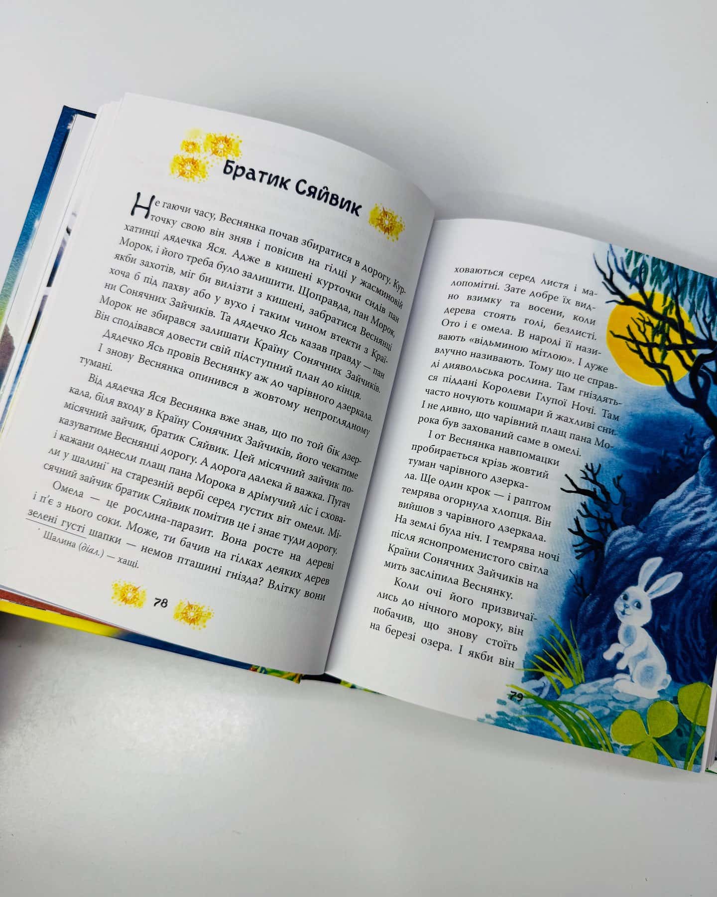 Книга В Країні Сонячних Зайчиків — Всеволод Нестайко