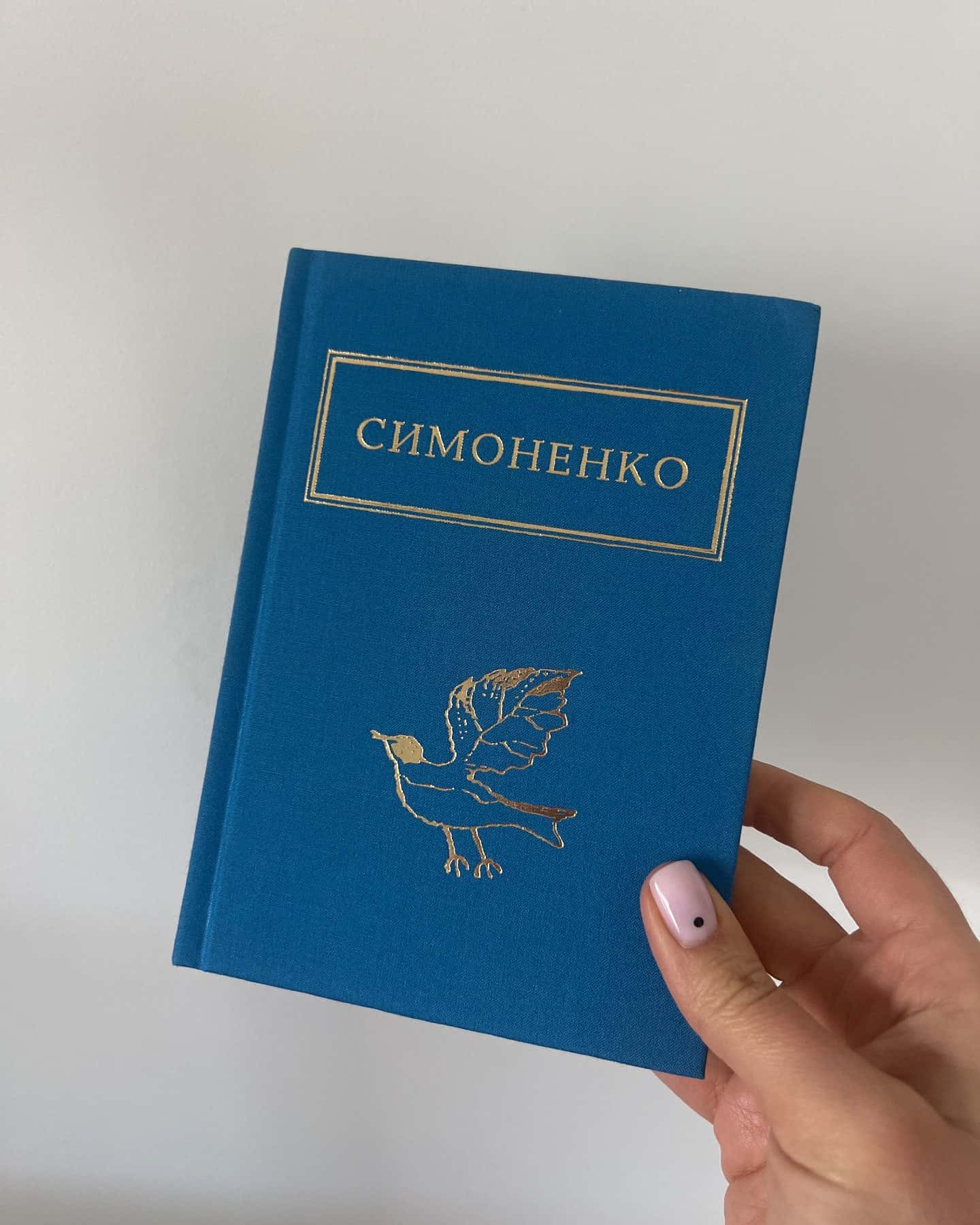 Задивляюсь у твої зіниці-Василь Симоненко