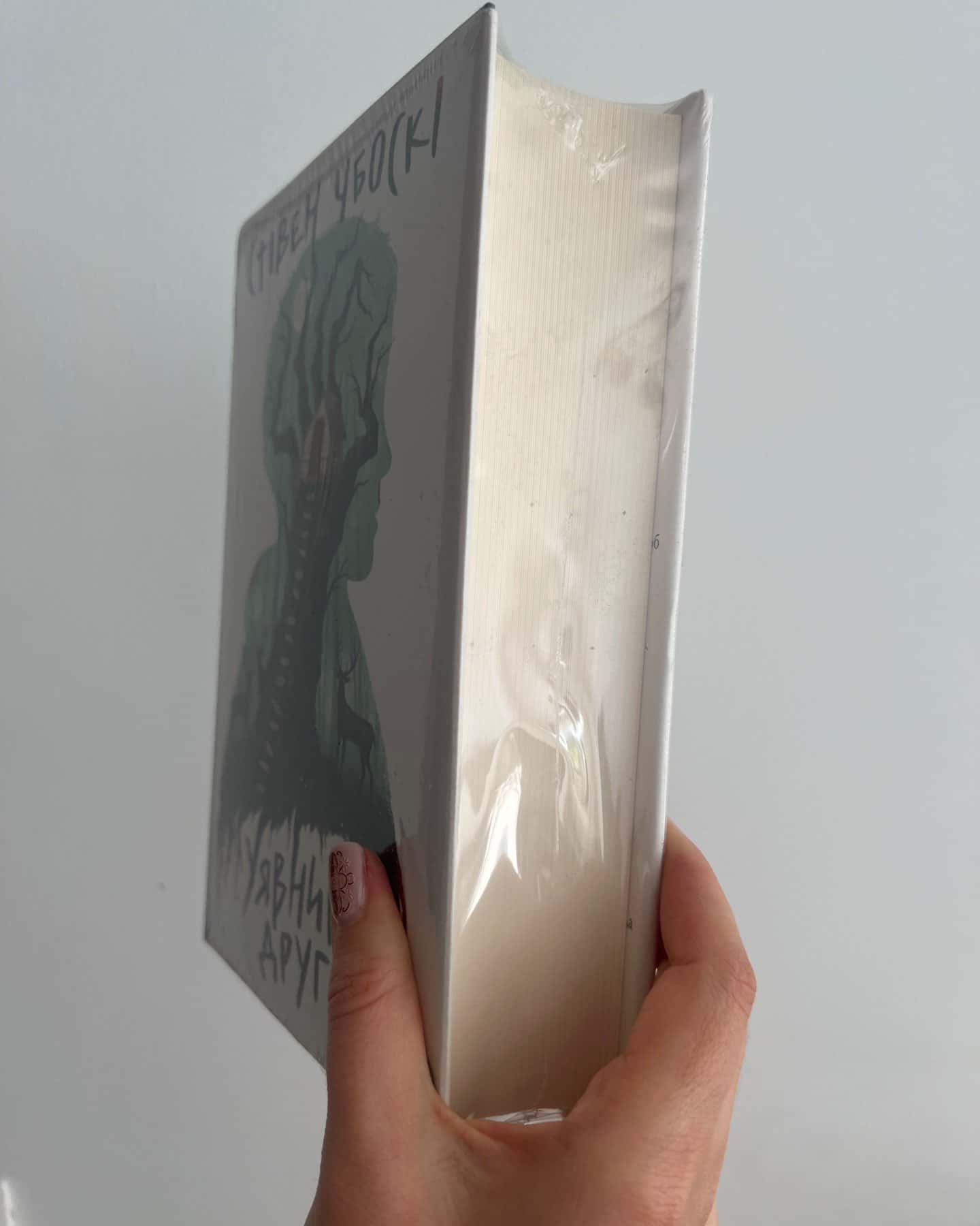 Уявний друг-Стівен Чбоскі