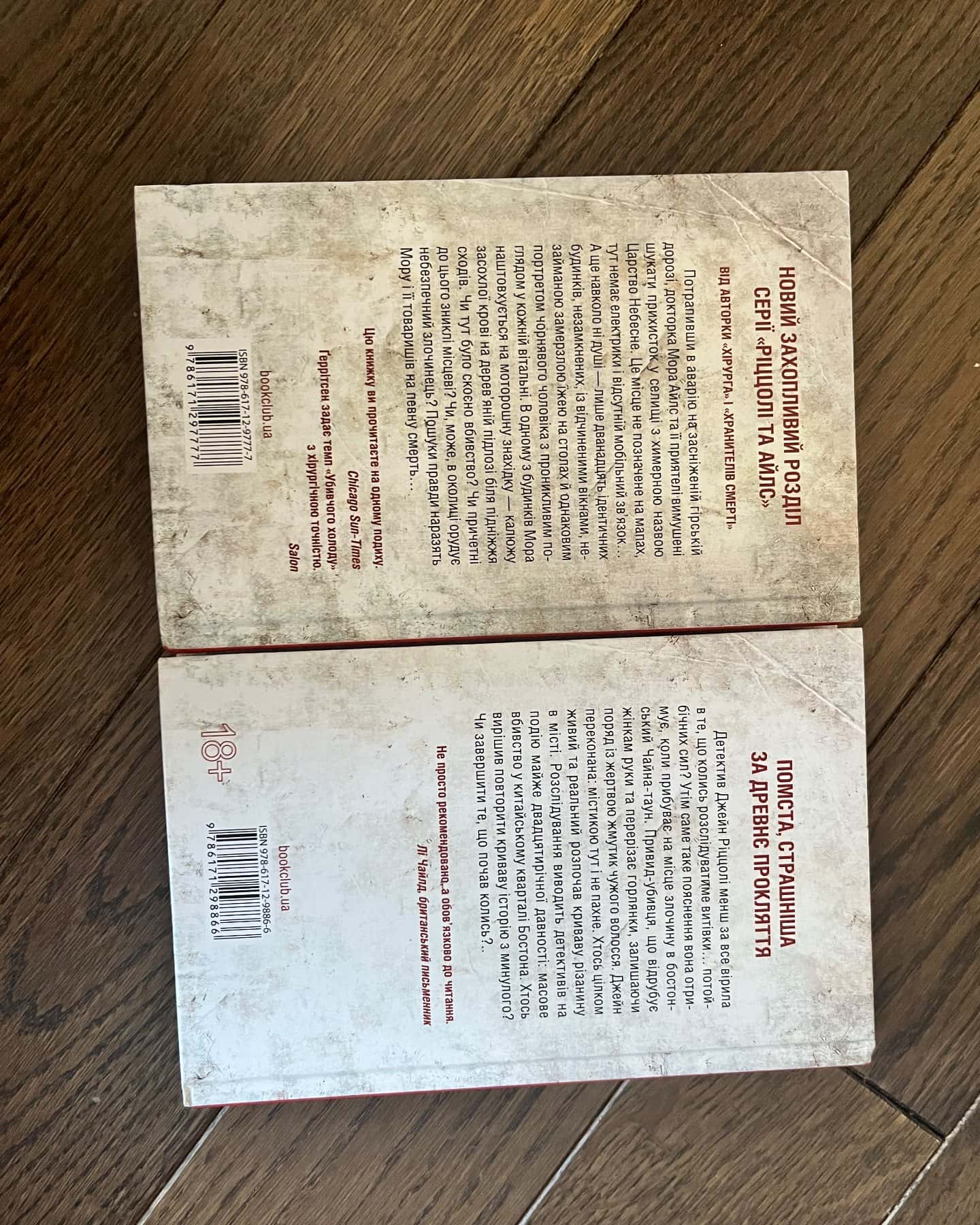 Книги «убивчий холод» та «дівчина, яка мовчить» — Тесс Ґеррітсее