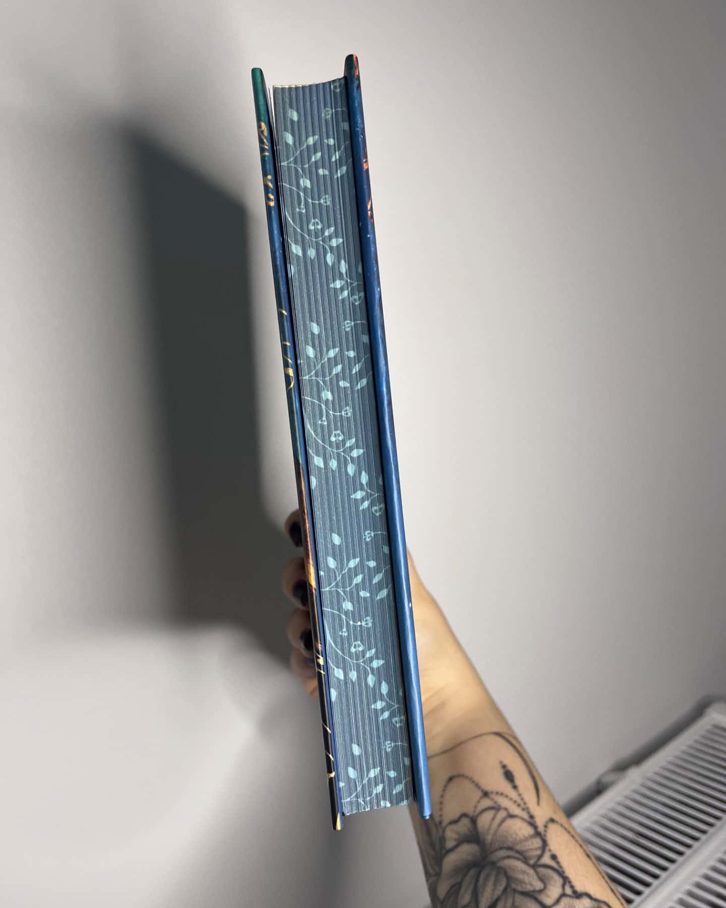 Коронована зорями. Одна істинна королева. Книга 1-Дженніфер Бенкау