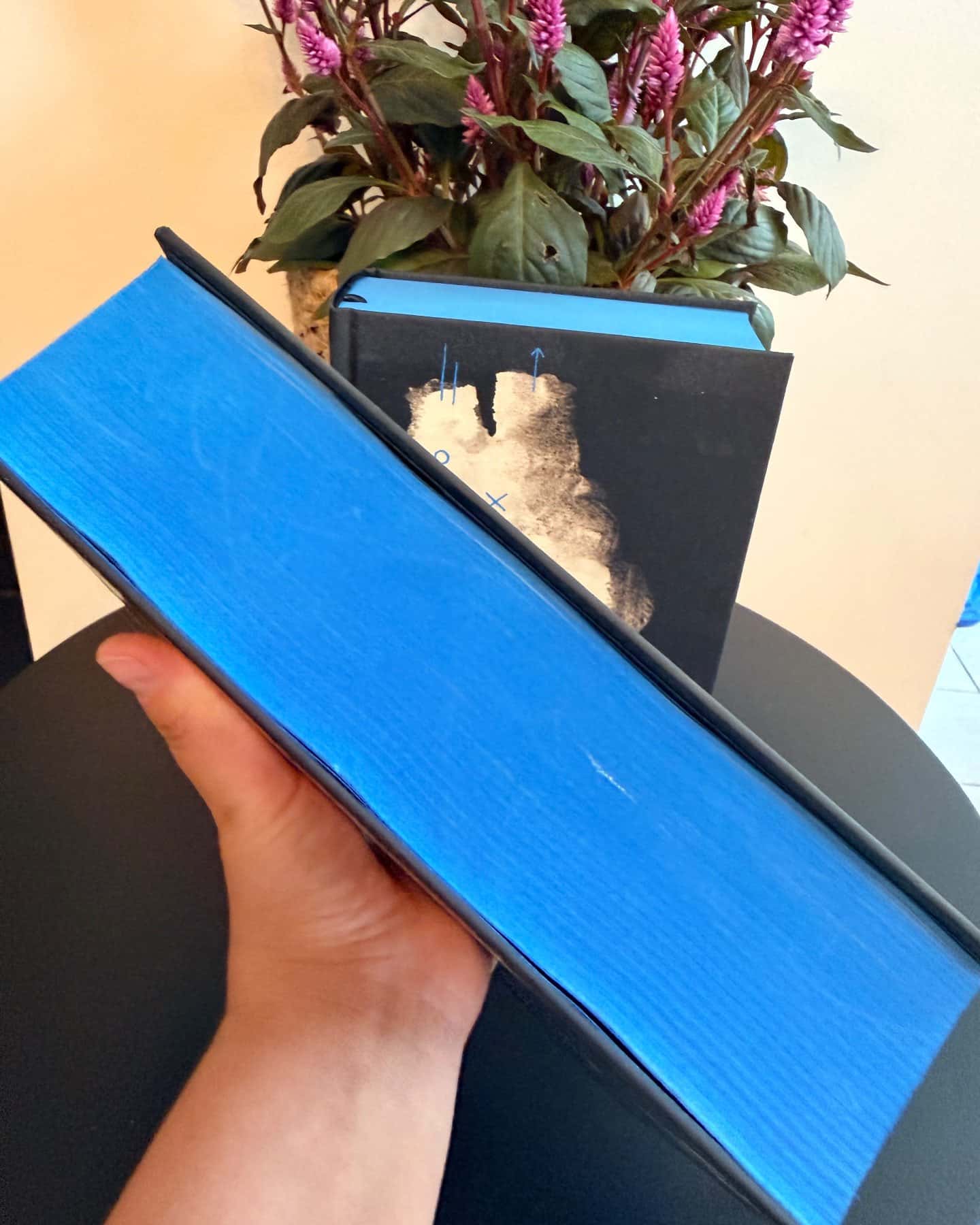 Книга Еміля — Ілларіон Павлюк