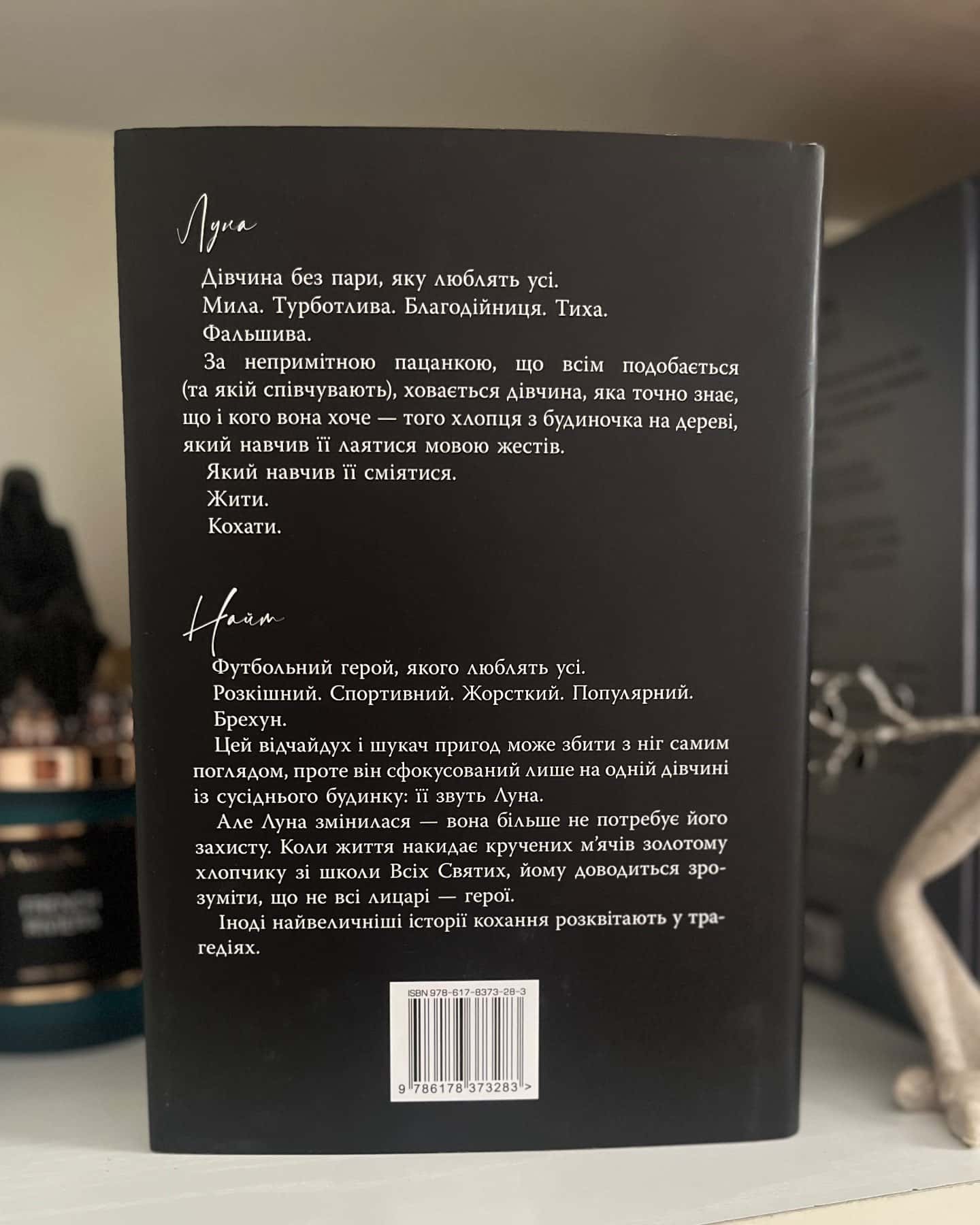Розбитий лицар — Л. Дж. Шен