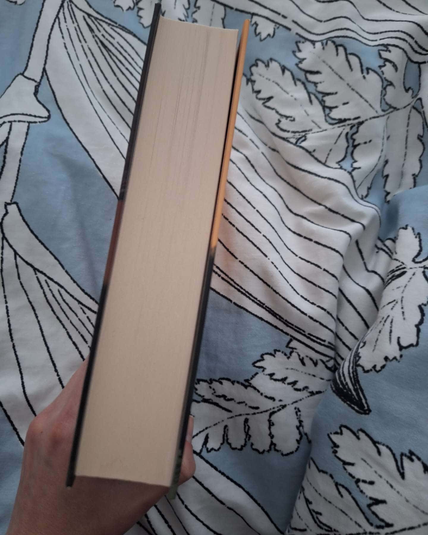 Другу також варто придбати-Олег Сенцов