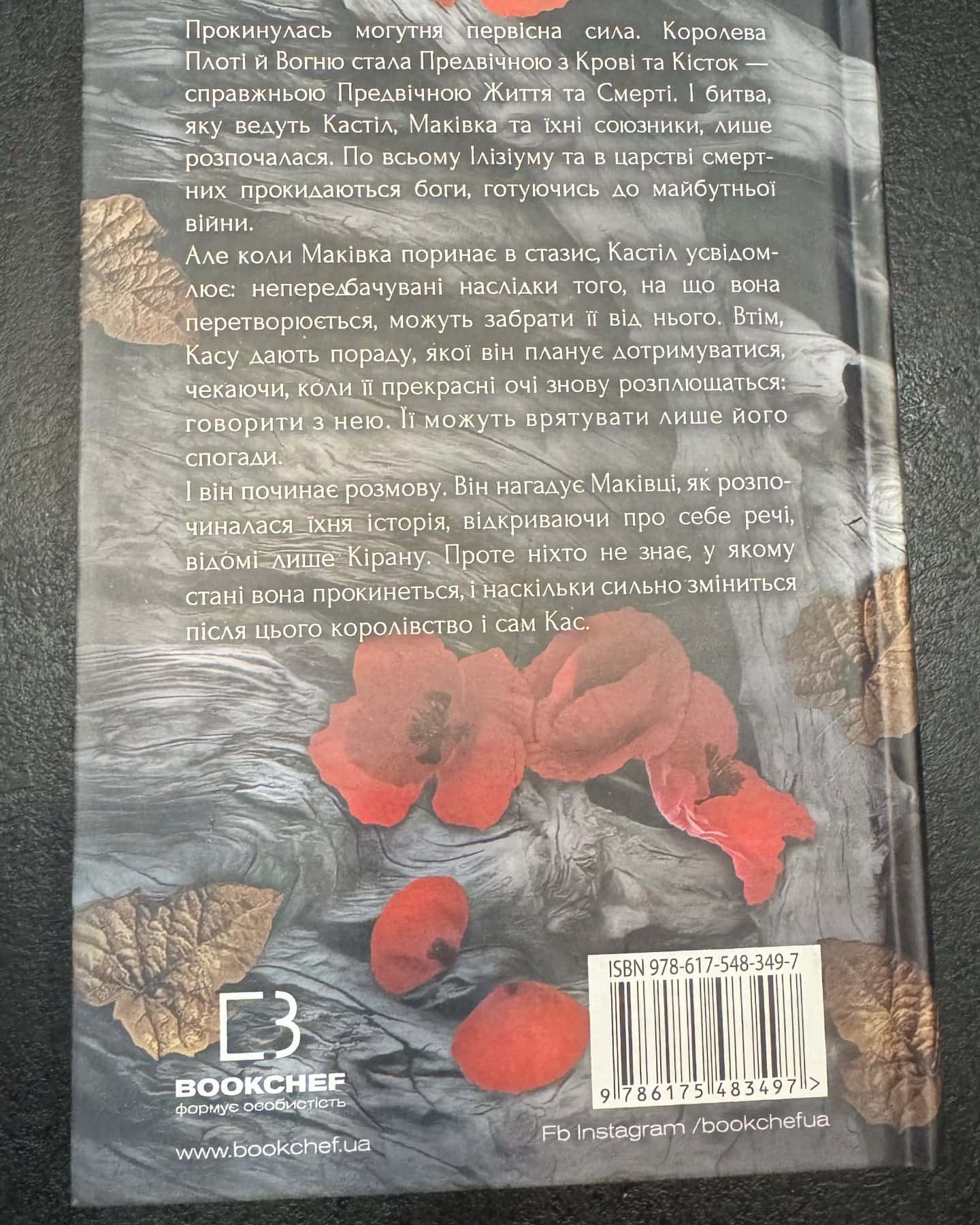 Кров і попіл. Книга 5. Душа з попелу та крові — Дженніфер Л. Арментраут