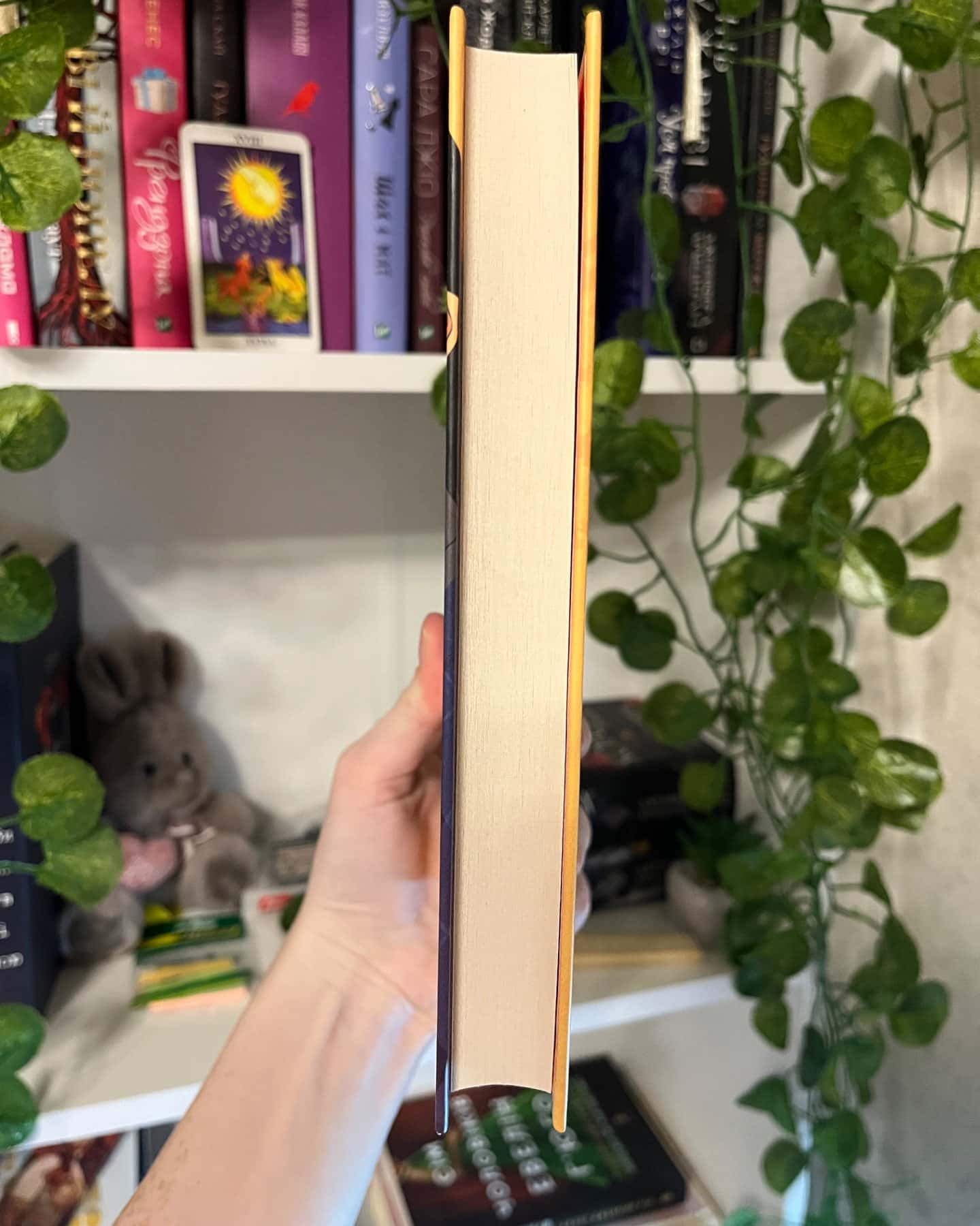 Навіки Токіо-Еміко Джин