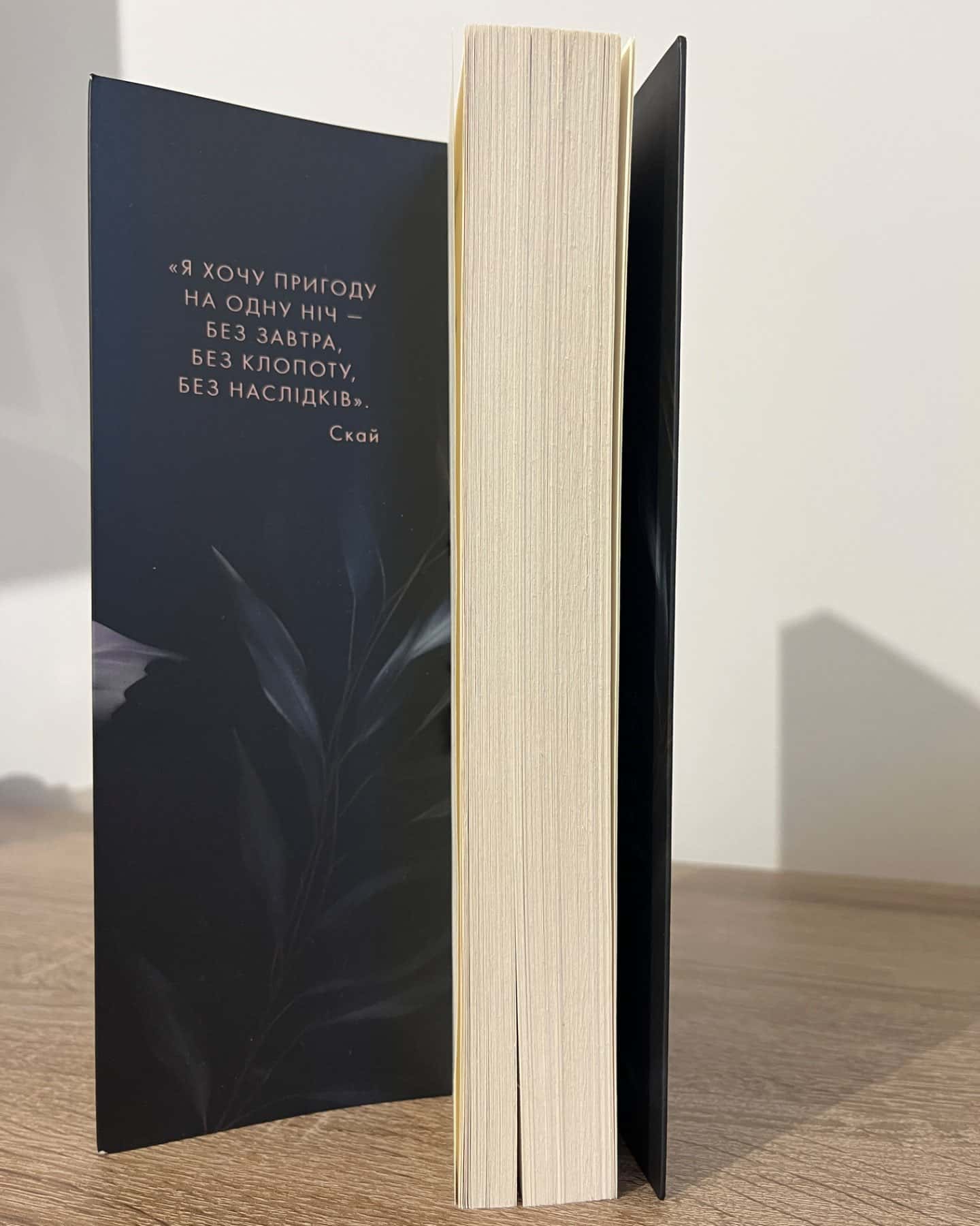 Попіл лине до неба. Том 1-Матьє Ґібе, Нін Ґорман