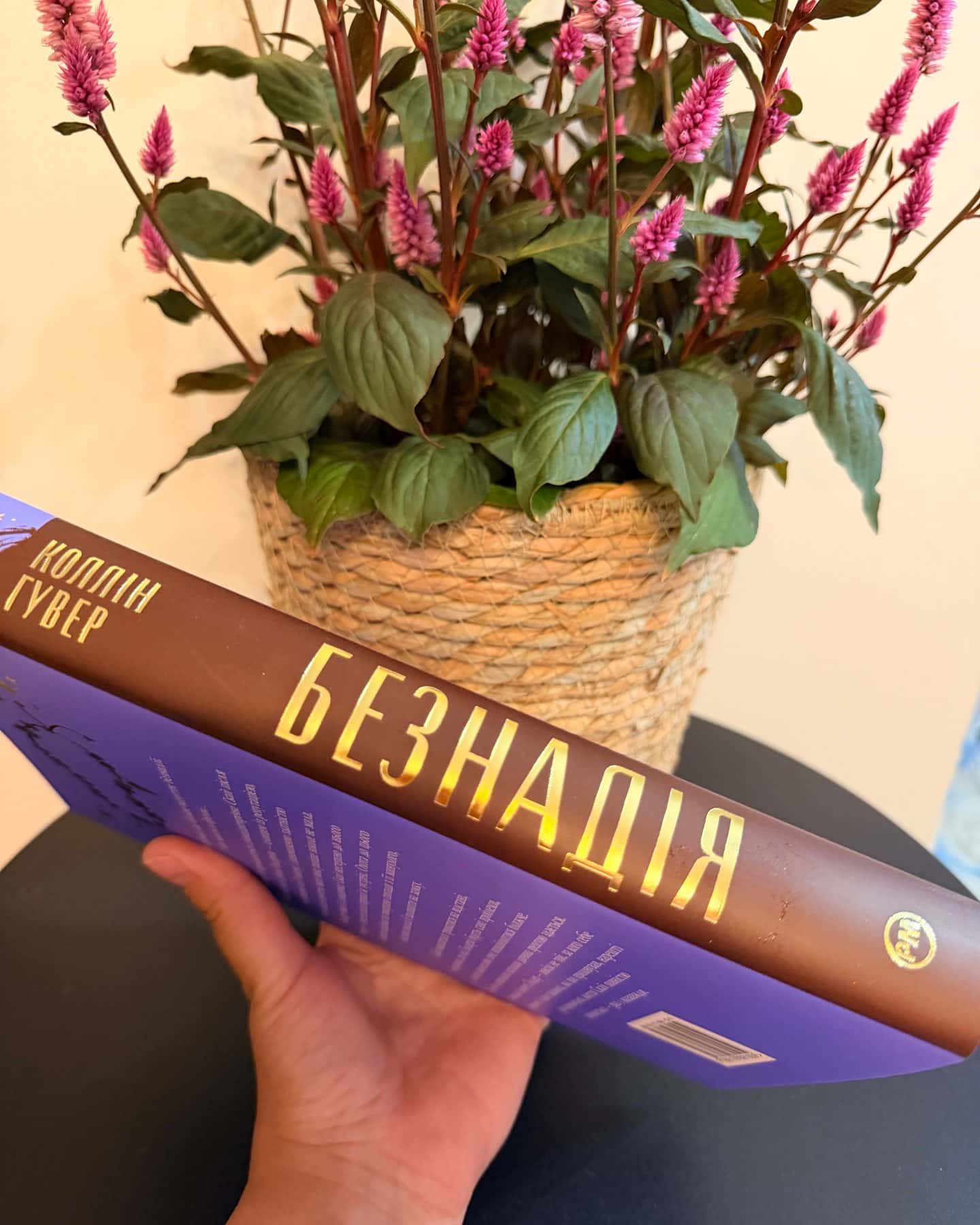 Безнадія. Книга 1 — Коллін Гувер