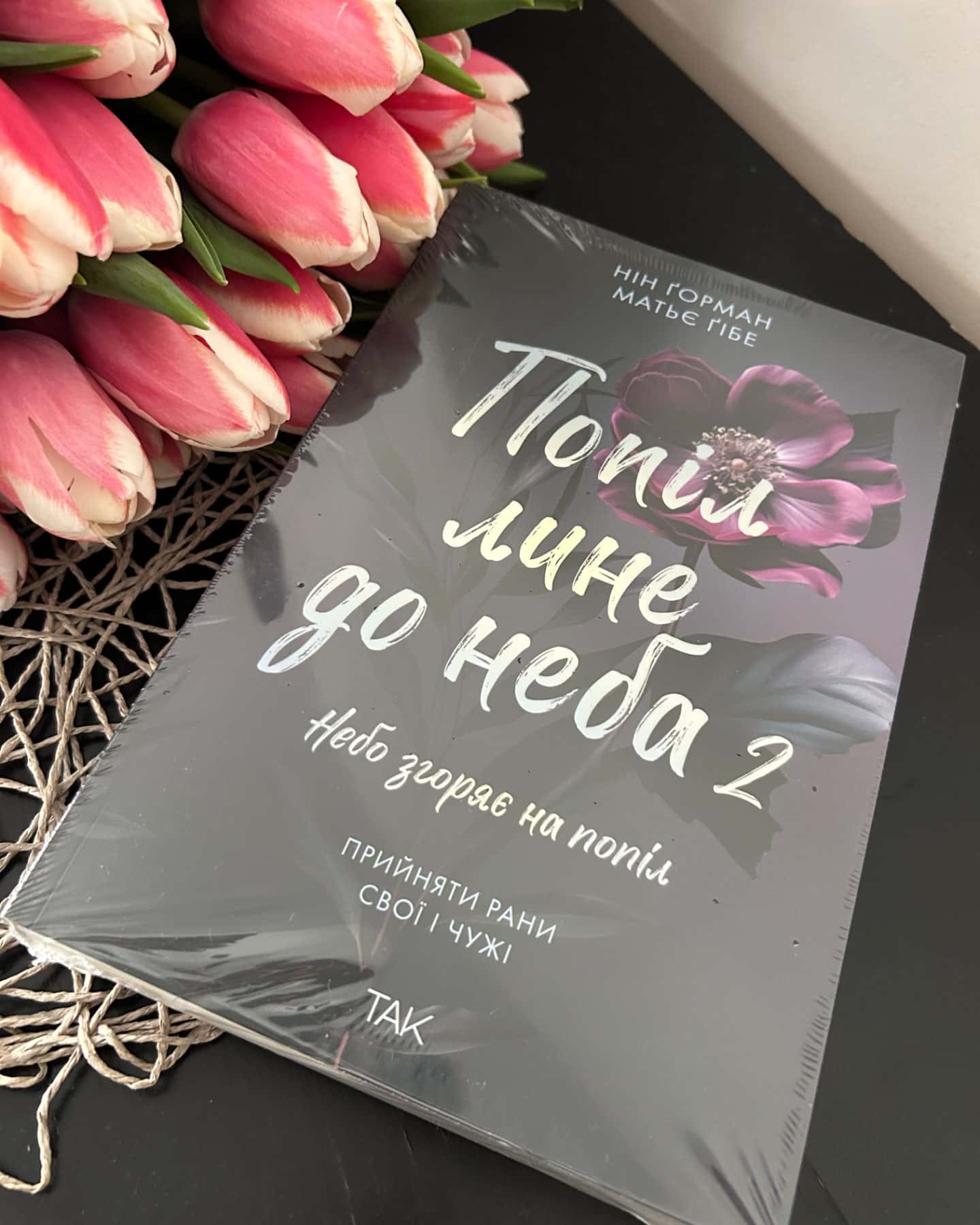 Попіл лине до неба. Том 2-Нін Ґорман