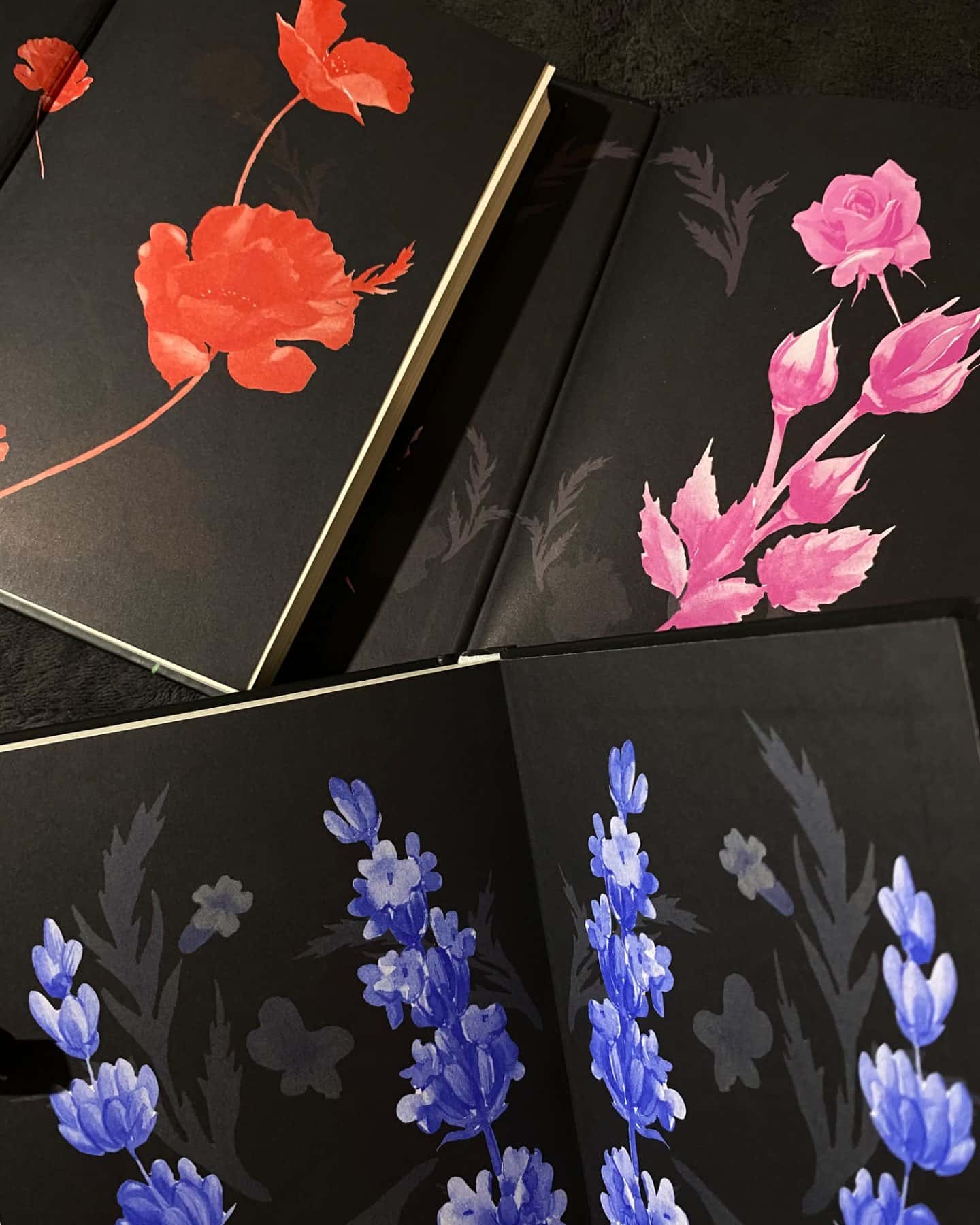 Священник. Книга 1, Грішник. Книга 2, Святий. Книга 3-Сьєрра Сімоне