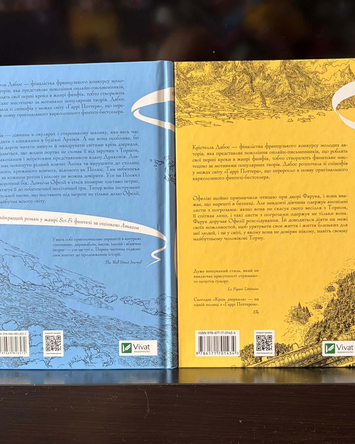 Крізь дзеркала. Зимові заручини, Книга Крізь дзеркала. Викрадені з Місяцесяйва — Крістель Дабос