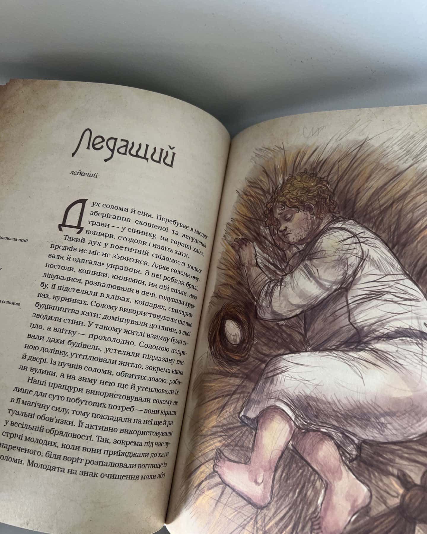 Чарівні істоти українського міфу. Домашні духи-Дара Корній