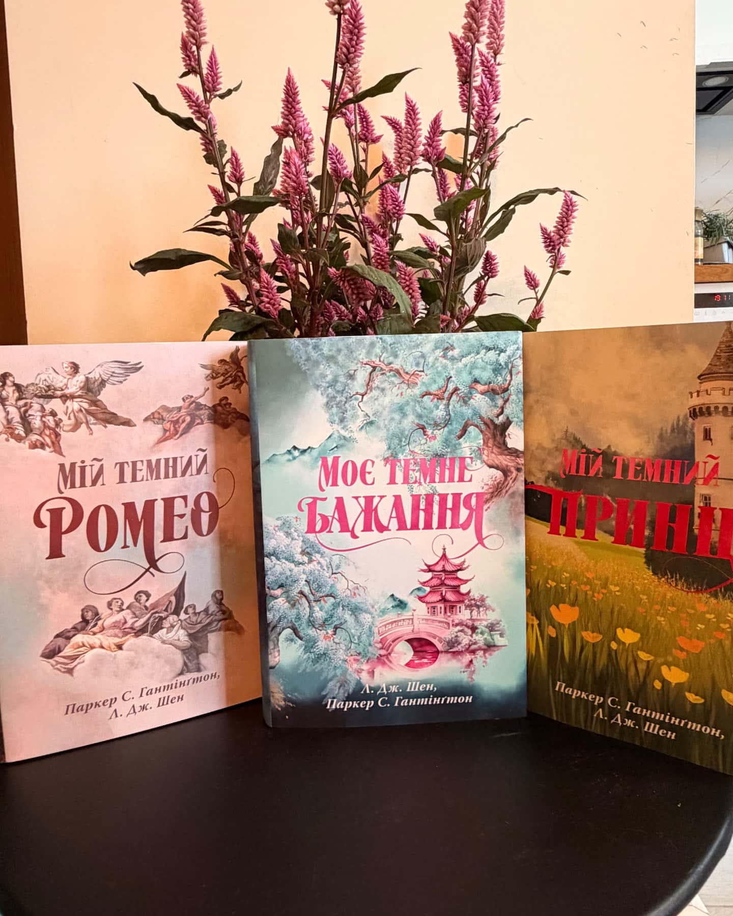 Мій темний Ромео, Моє темне бажання. Книга 2, Мій темний принц. Книга 3 — Паркер С. Гантінгтон, Л. Дж. Шен