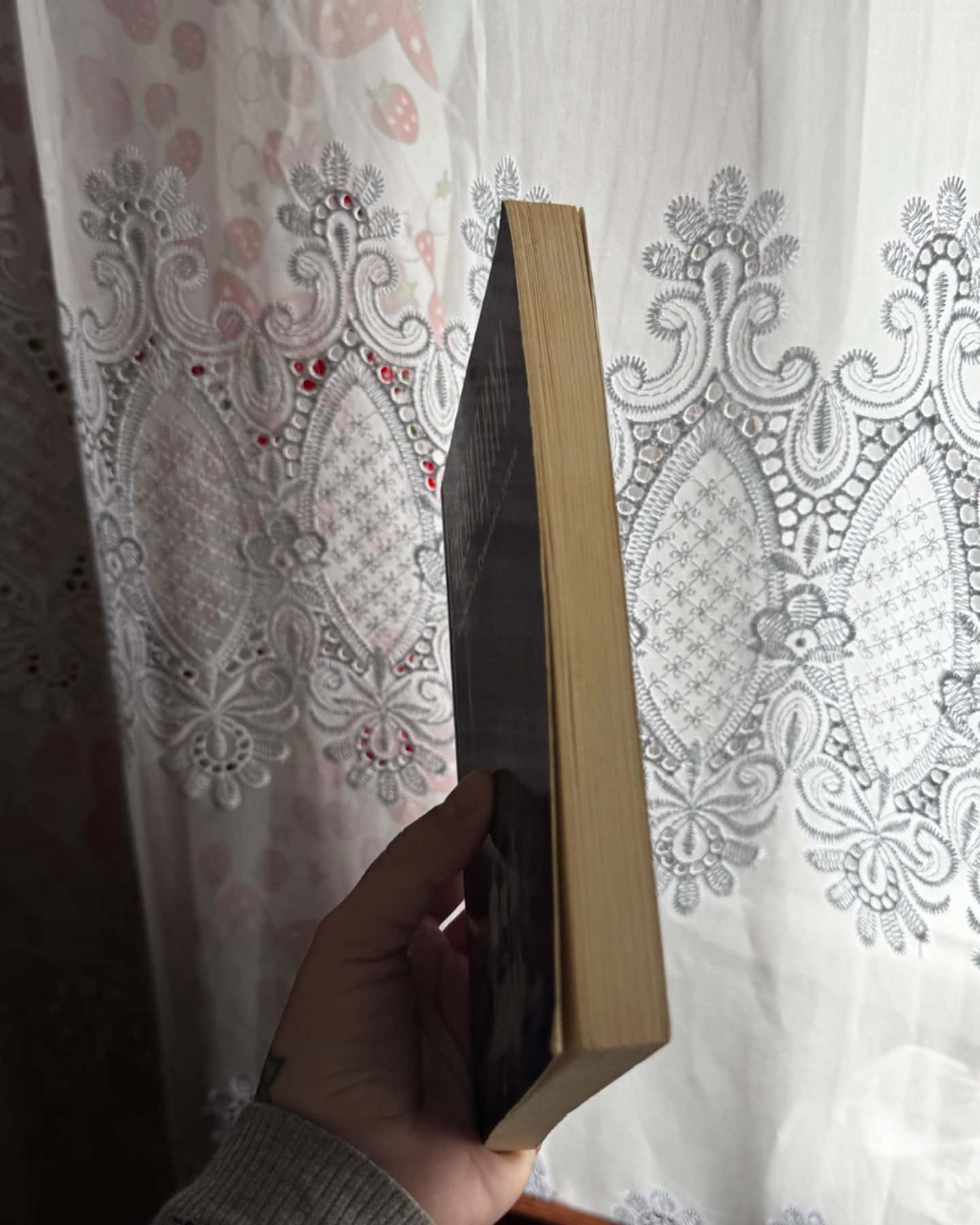 Невидимі. Таємниця туманної бухти-Джованні Дель Понте