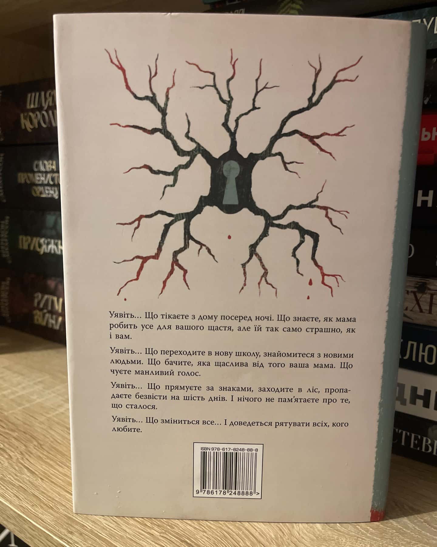 Уявний друг-Стівен Чбоскі